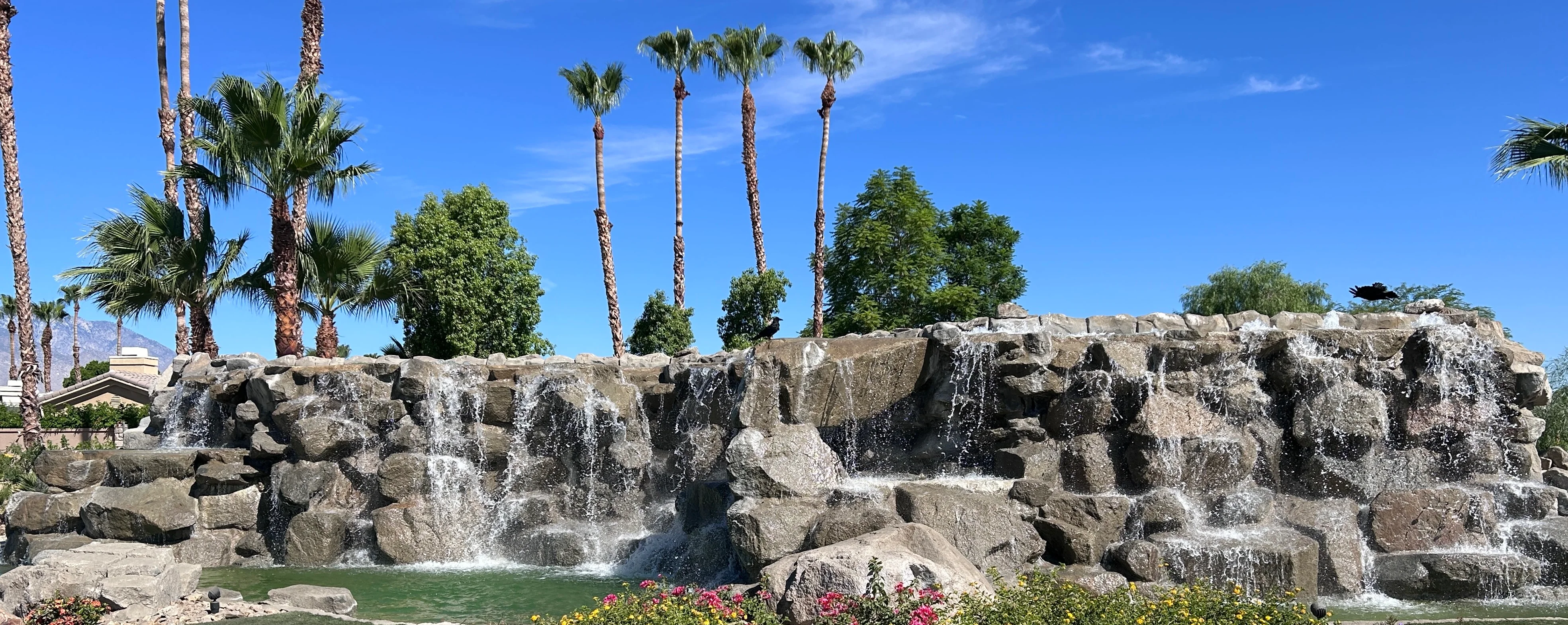 Accurate One Water Heater Division header showcasing Indio luxury estate landscape infrastructure for 24/7 emergency water heater repair, tankless installation, water purification, UV lighting, Moen Flo devices, and gas shutoff fireman switches.