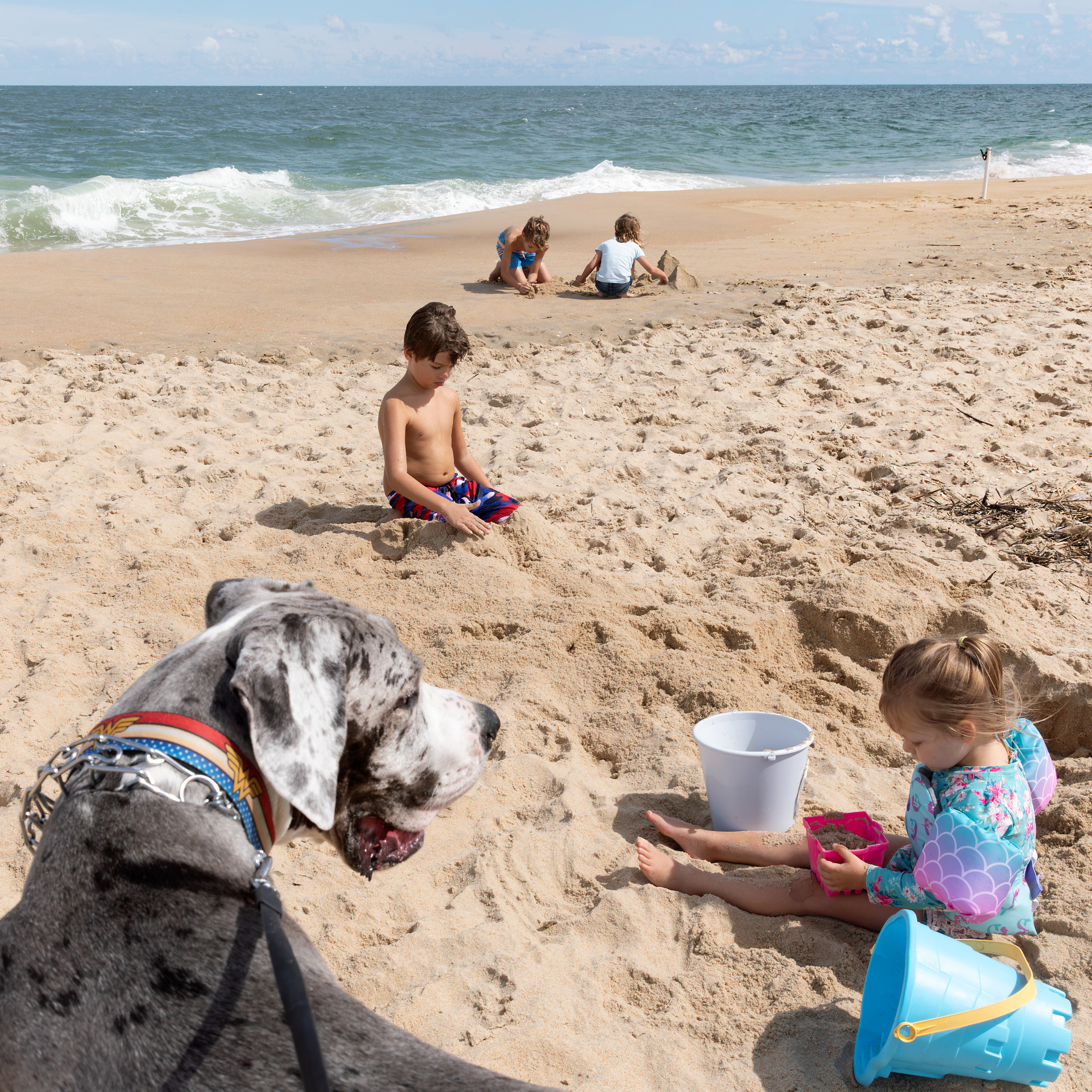 Children and Great Dane playing together on the beach.