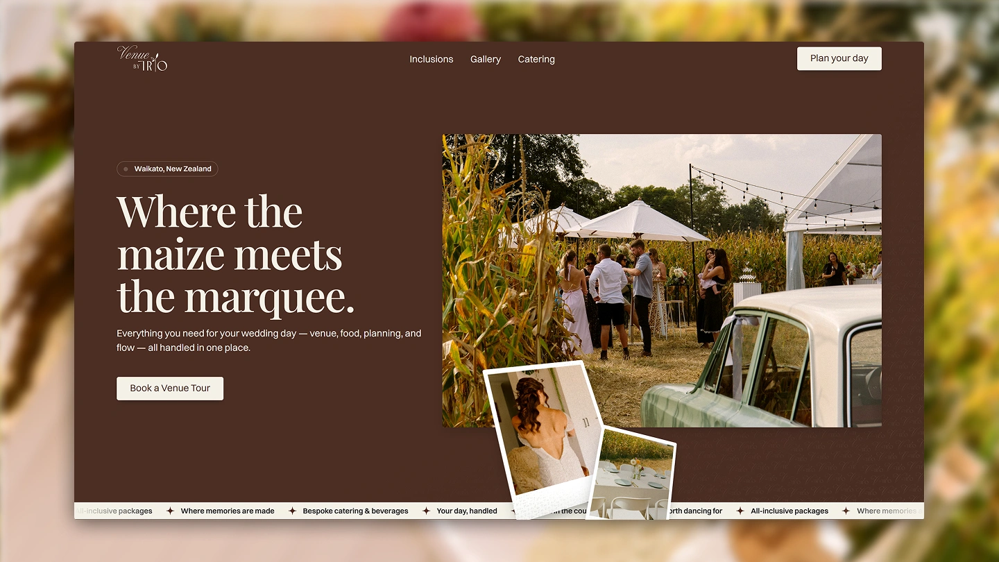 Wedding guests chat outdoors near a marquee and a vintage car beside tall maize stalks.