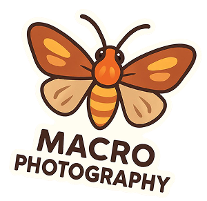 A butterfly sticker