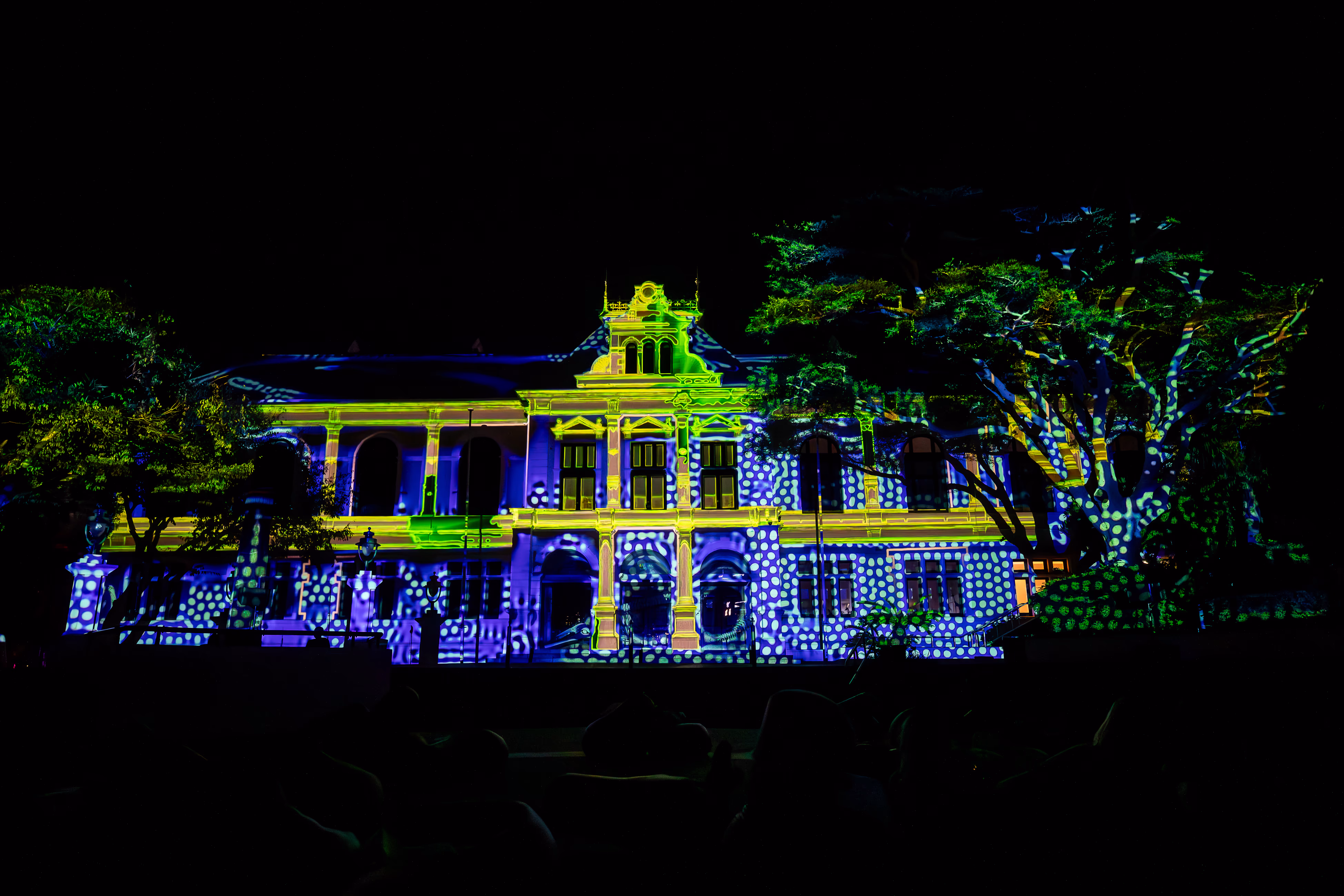 Iziko Museum facade projection by Lumen Edge at LUMENOCITY, Cape Town