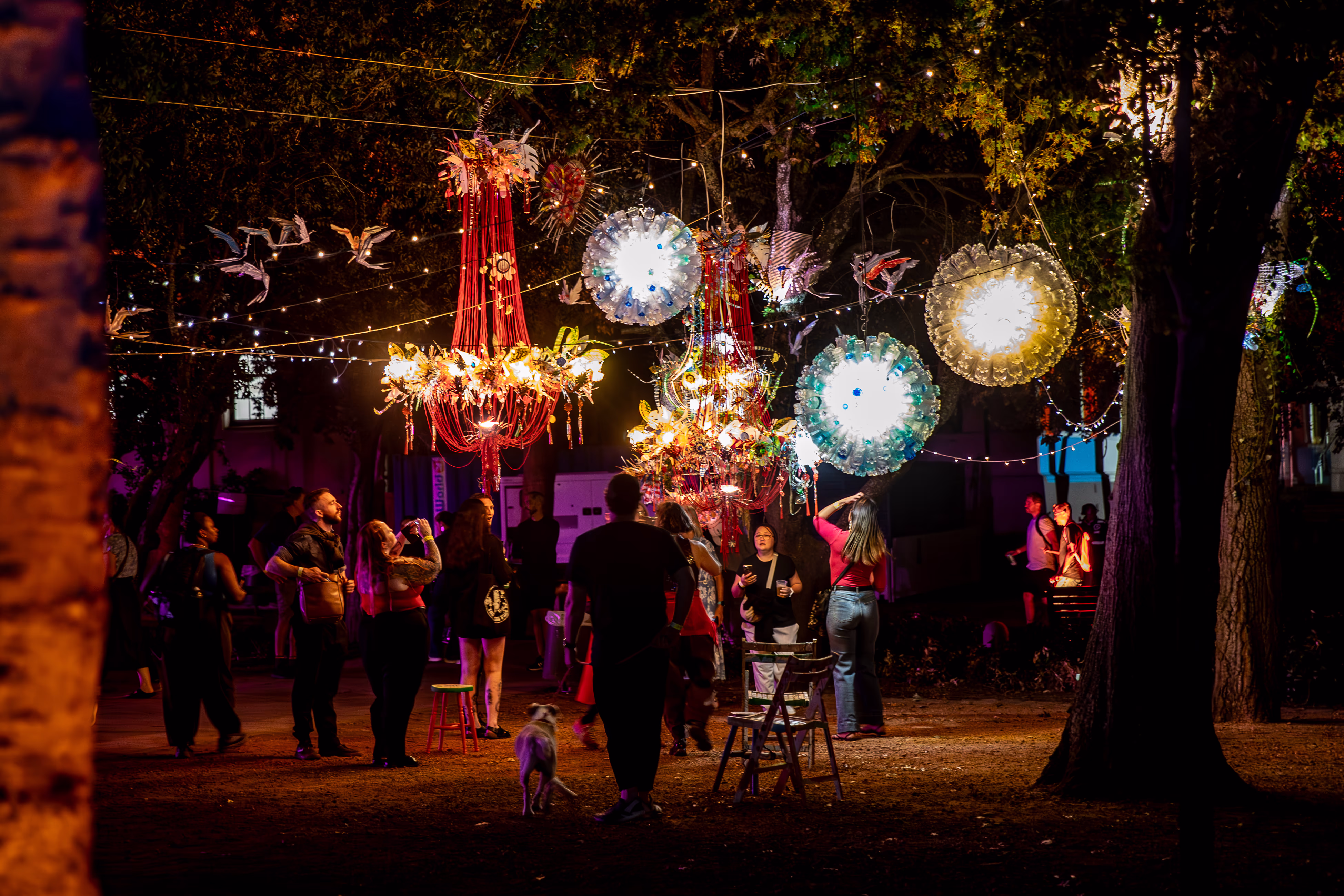 Hanging Gardens by Magpie Art Collective, luminous forms in the tree canopy at LUMENOCITY, Cape Town
