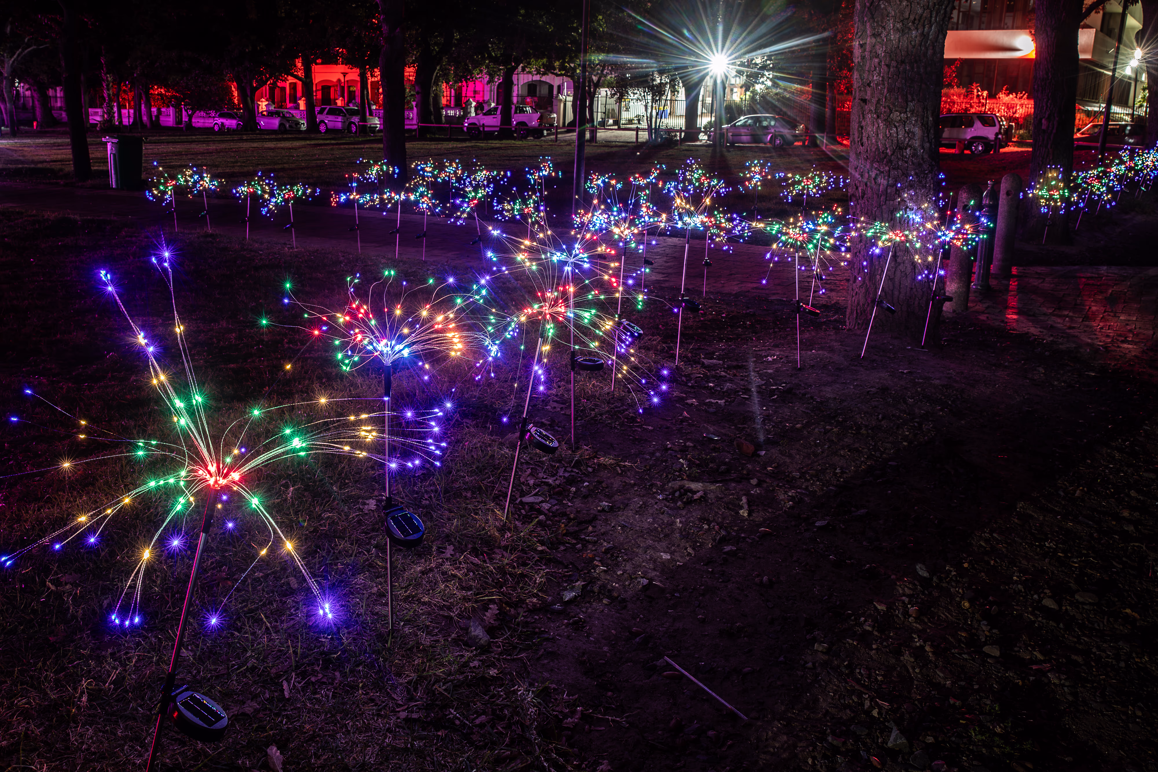 Temu BS light installation at LUMENOCITY, Company's Garden, Cape Town