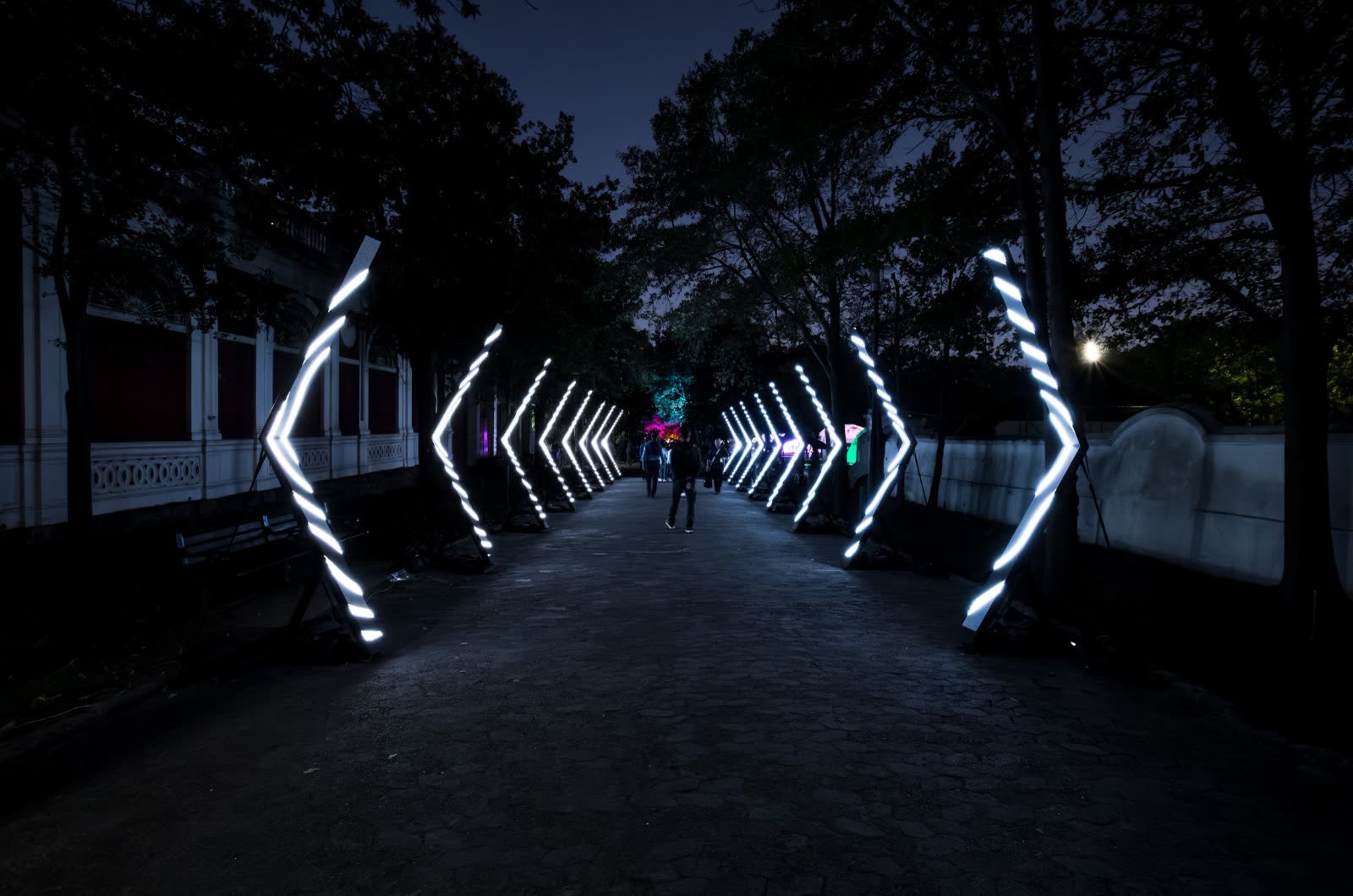 Cadence by Hott3D Eyecom, white chevrons of light lining a garden path at LUMENOCITY, Cape Town