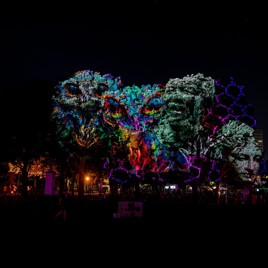LUMENOCITY installation — Arboris Lux