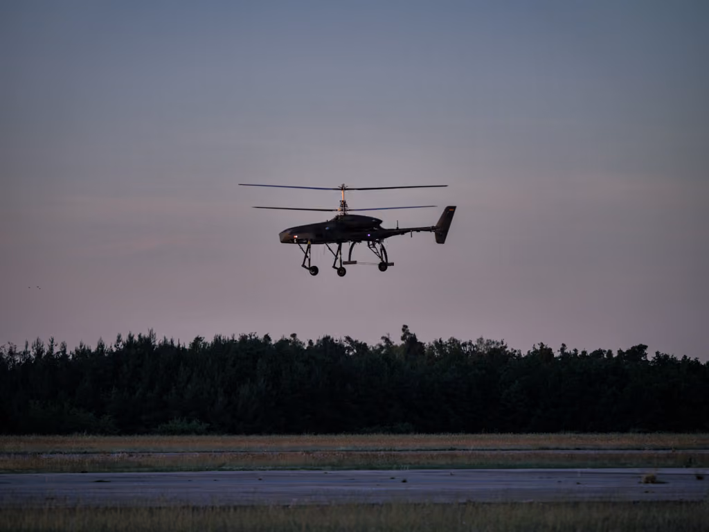Maiden Flight of Wespe