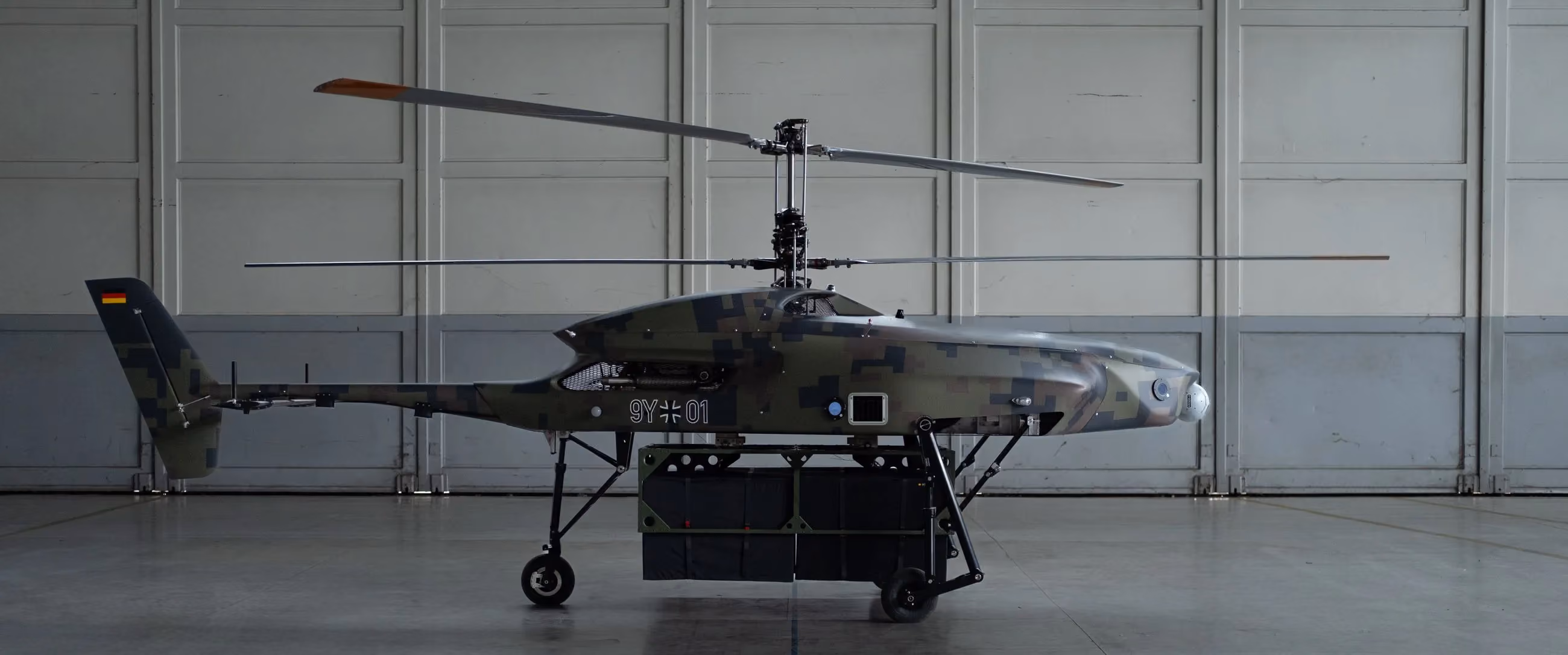 Wespe - Tactical Airlift