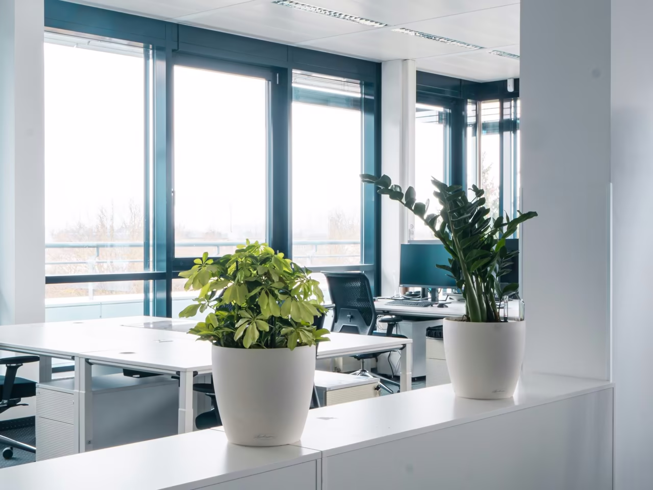 Bright open-plan office with desks and plants at the Ismaning branch