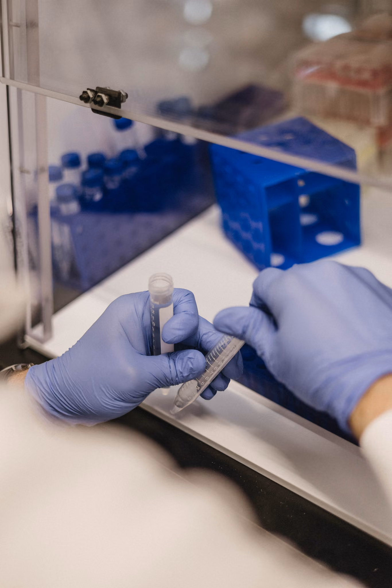 Hands in blue gloves holding and working with clear lab test tubes in a lab setting.