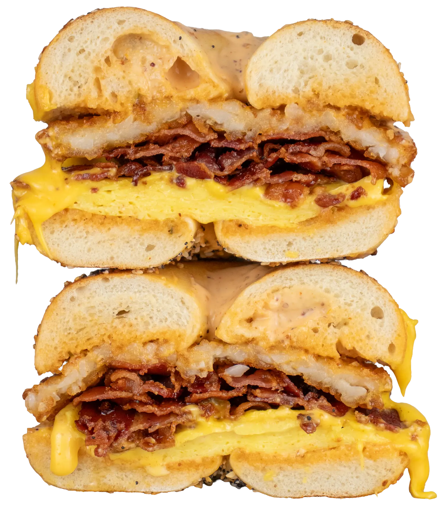 A bacon and cheese sandwich cut in half.