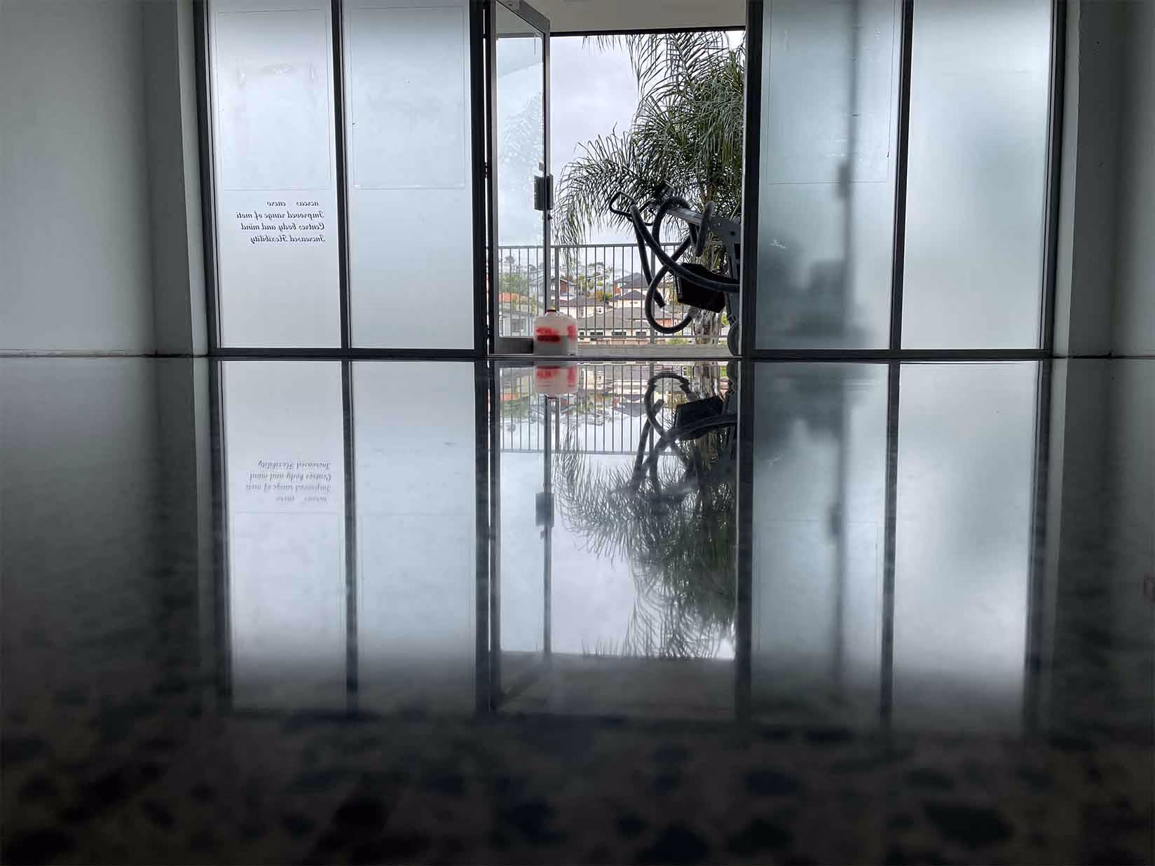 Frosted glass doors open to a balcony with a palm tree and exercise bike, reflected on a shiny floor.