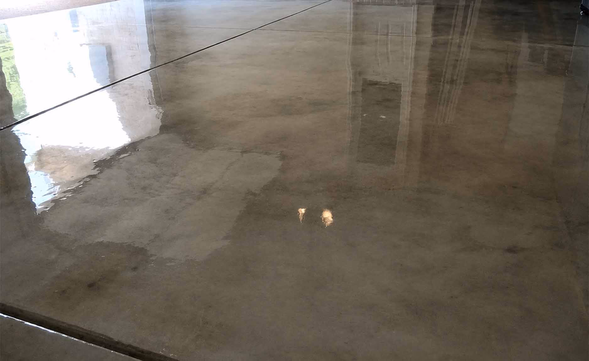 Shiny polished concrete floor reflecting light and windows in an empty space.