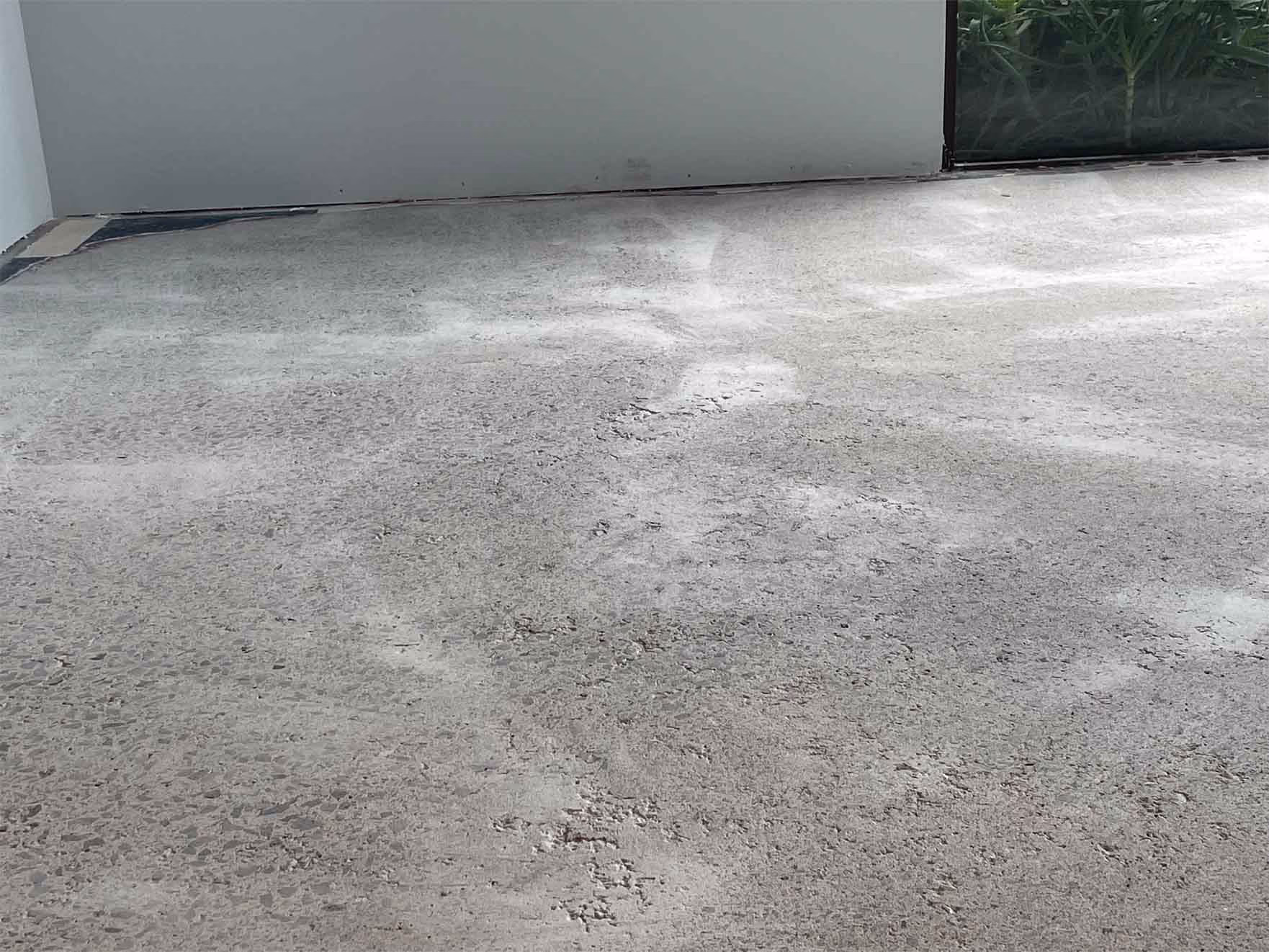 Polished concrete floor inside a room with white walls and a glass door showing plants outside.