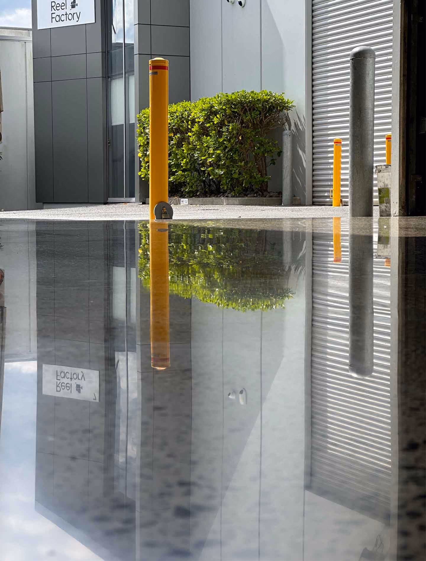 Reflection of yellow bollards, green shrub, and building facade on a shiny wet surface outside Reel Factory.