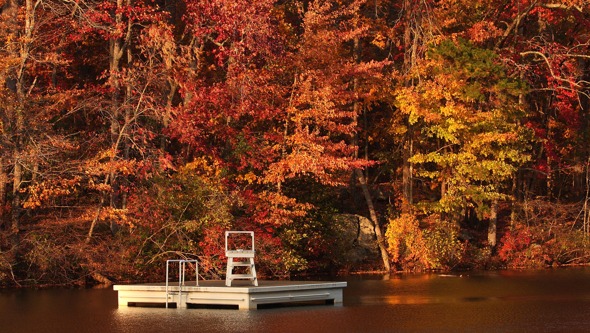 Paris Mountain State Park has been Greenville favorite for decades