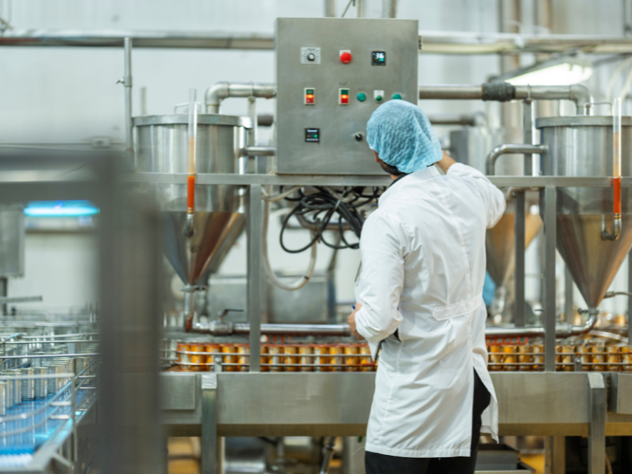 Operator monitoring a food manufacturing line