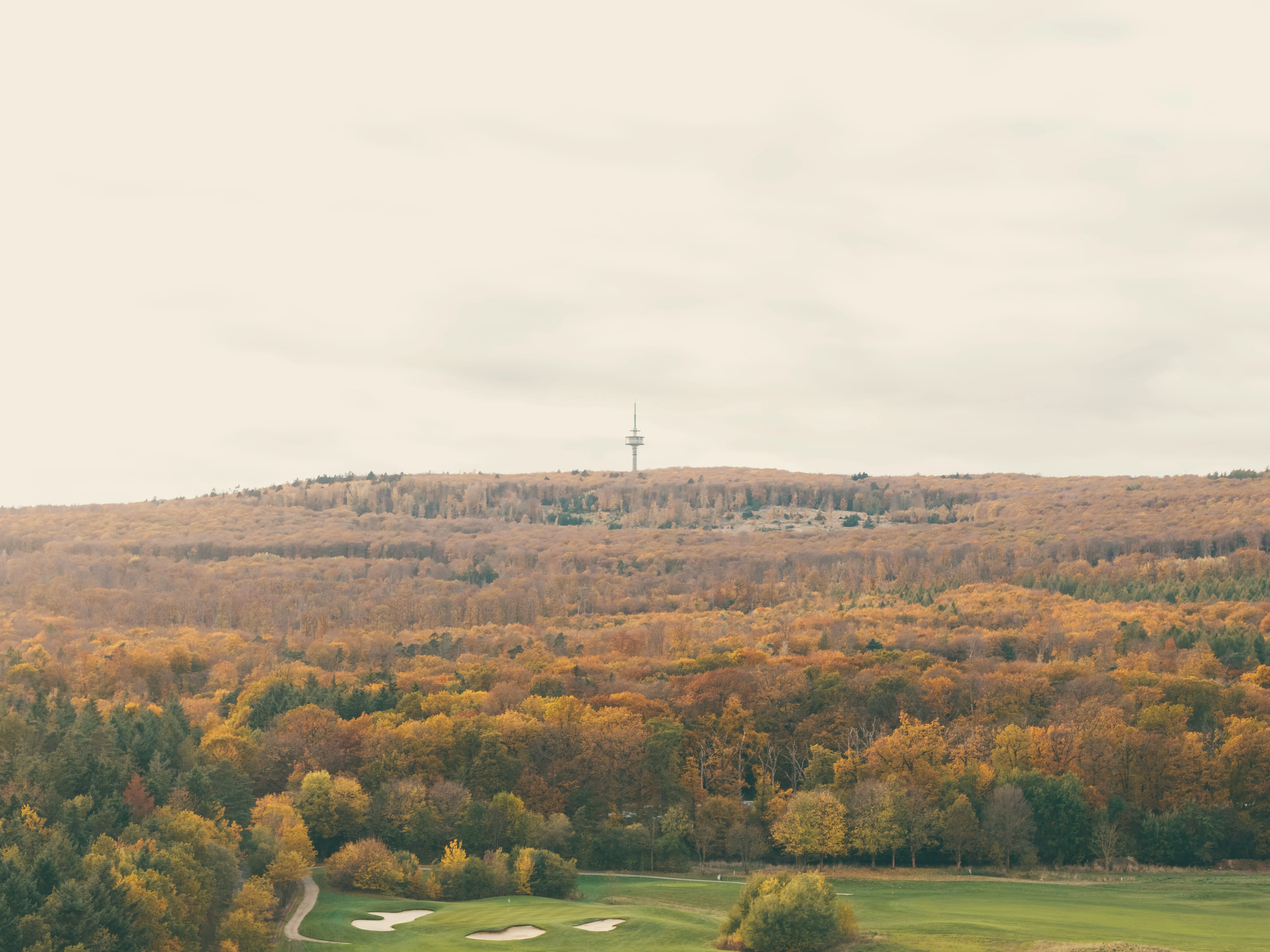 Golfplatz-Landschaft im Detail