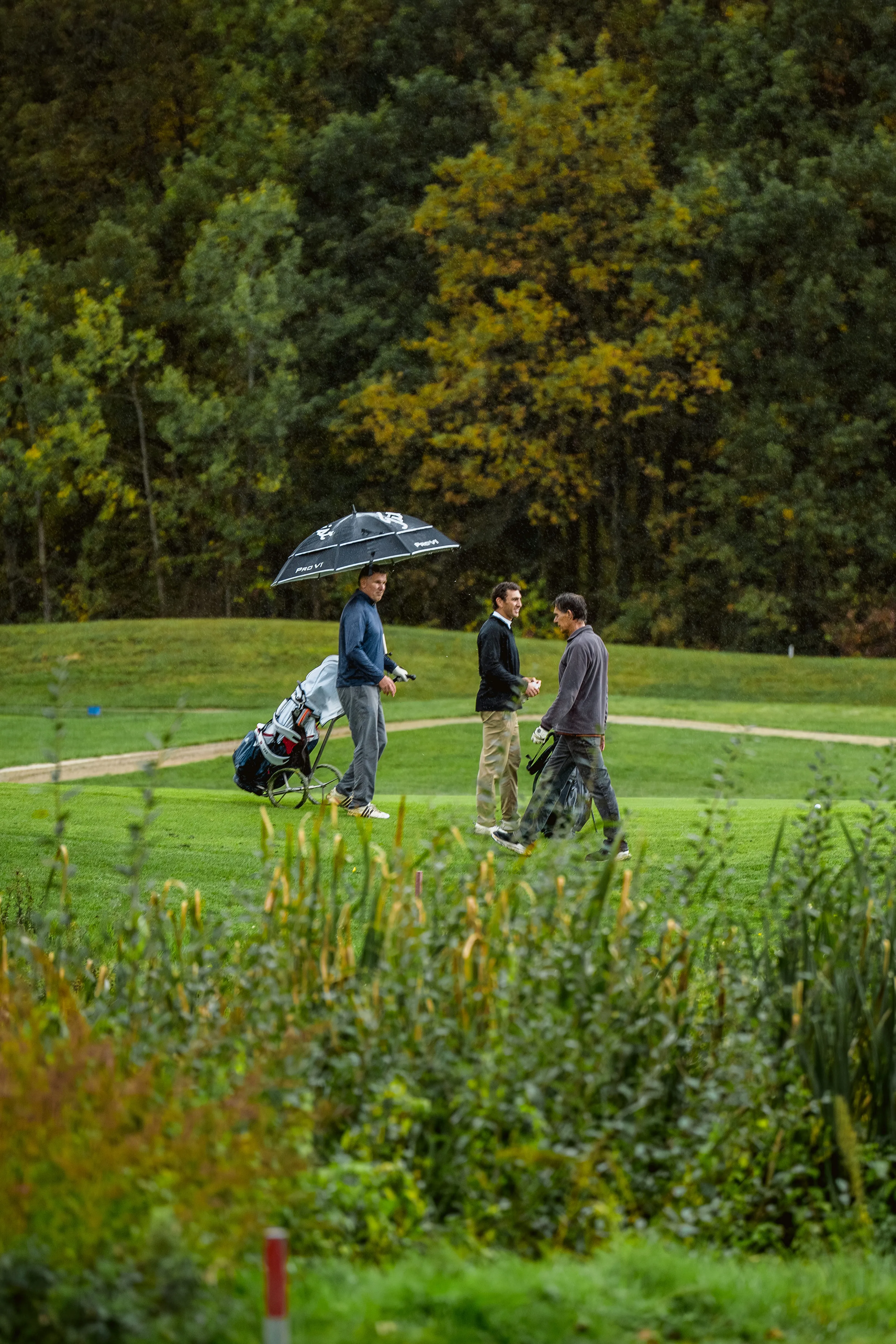 Golfplatz-Landschaft am Löwenhof