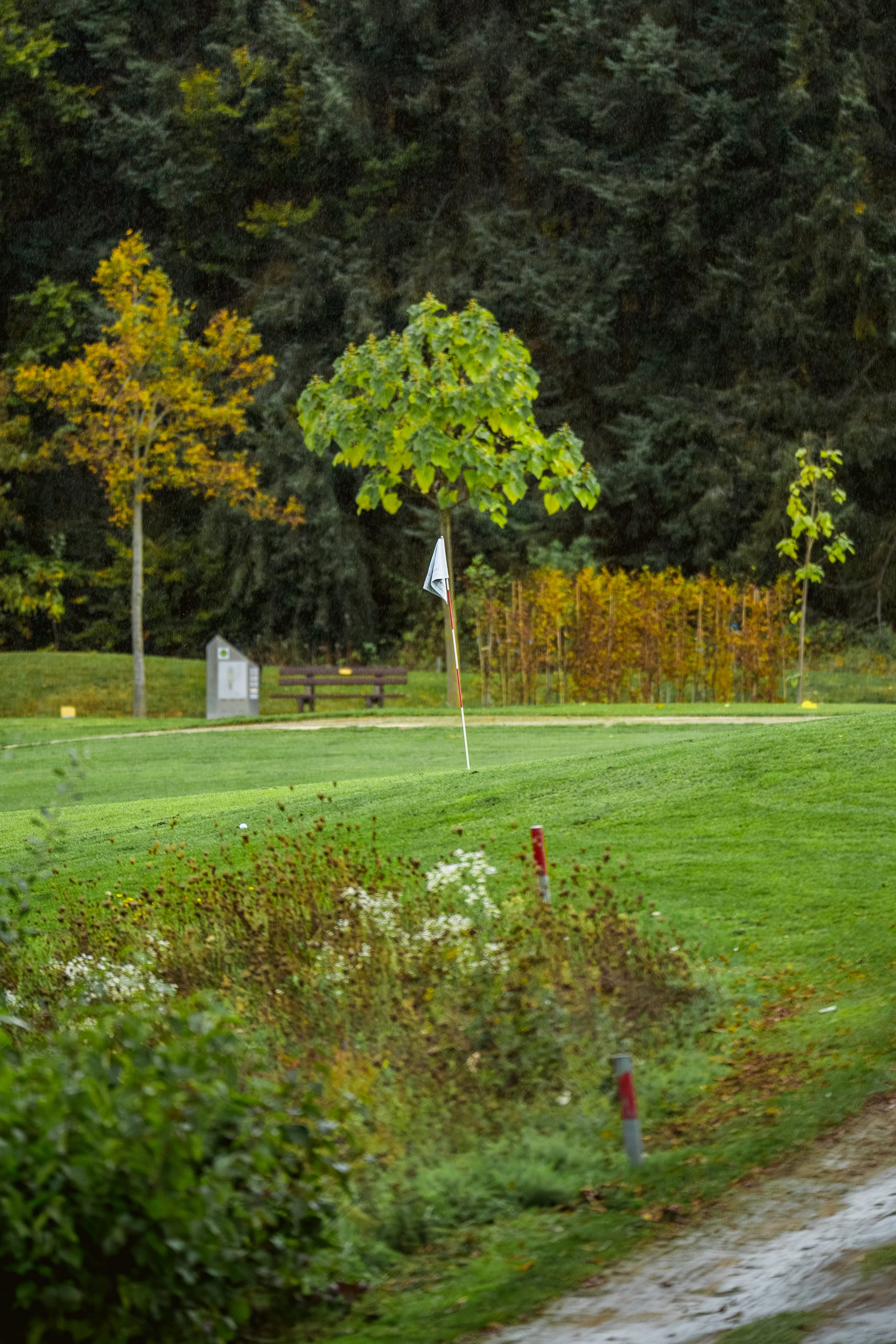 Grün mit Fahne am Golfpark am Löwenhof, dahinter eine Bank und herbstlich gefärbte Bäume