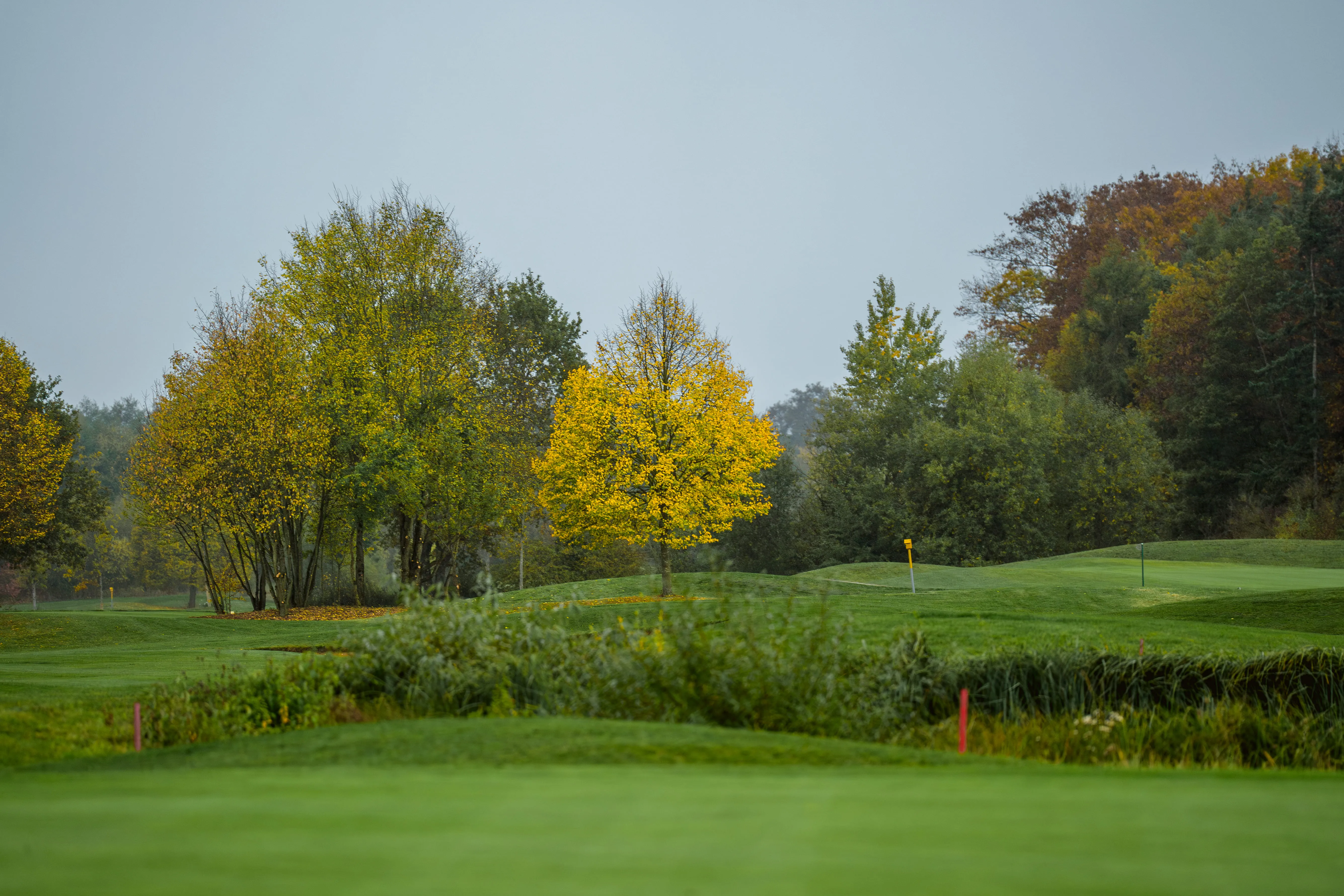 Fairway mit Fahne am Grün, gelb gefärbte Herbstbäume am Golfpark am Löwenhof