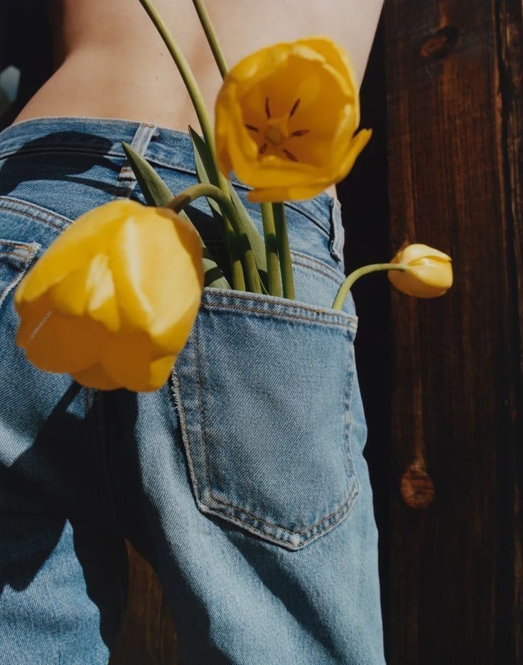 Yellow tulips placed in the back pocket of blue jeans worn by a person against a wooden background.