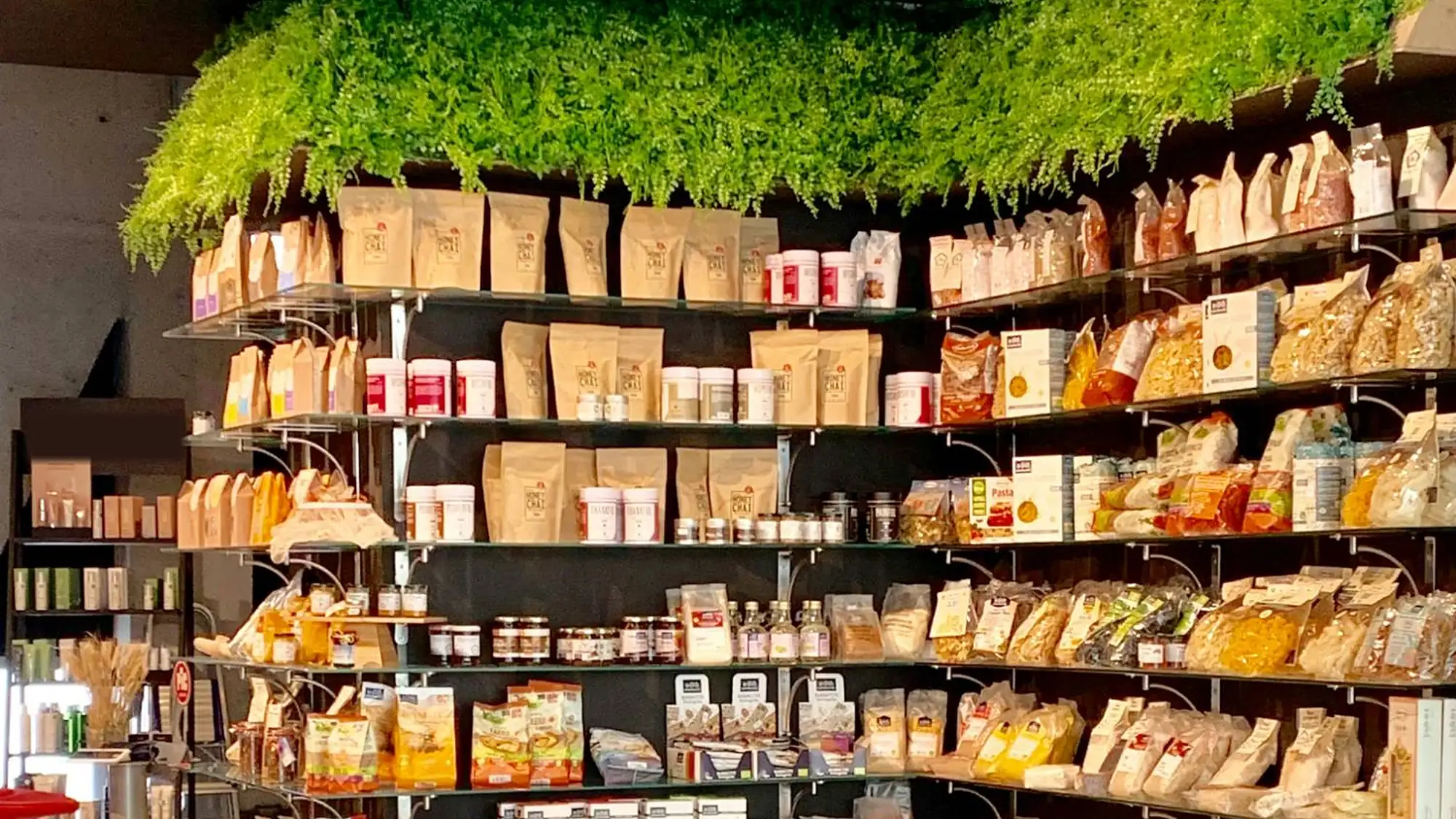 Shelves of packaged natural foods beneath hanging greenery in a small grocery store