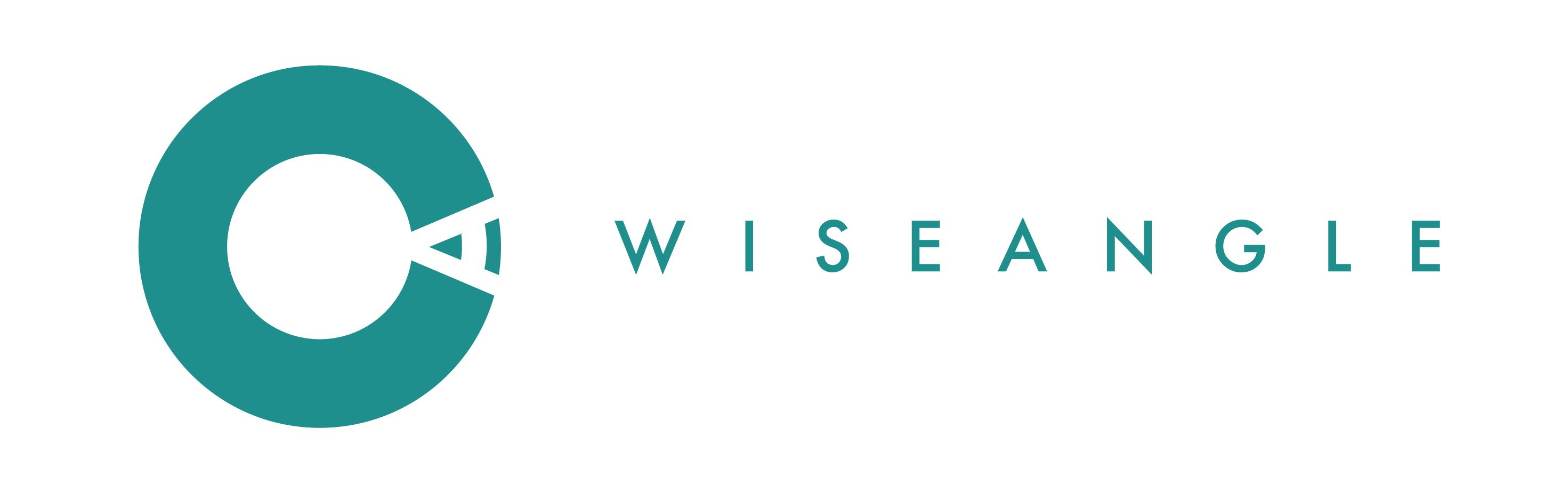 Wise Angle logo