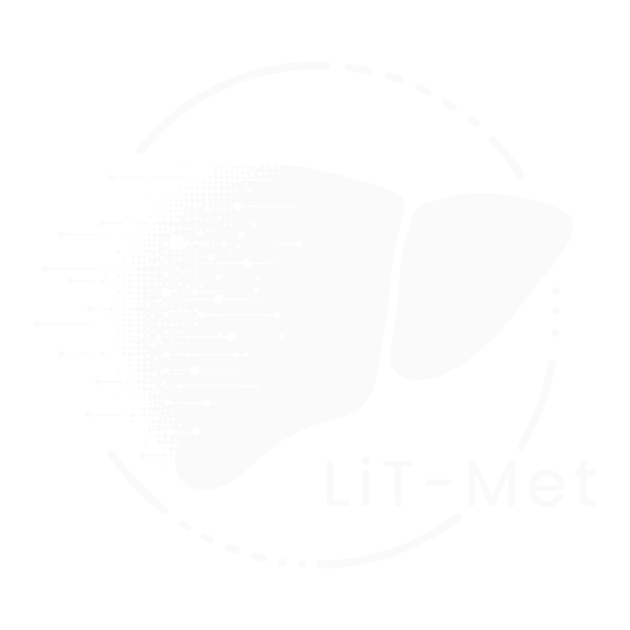 LiT-Met home