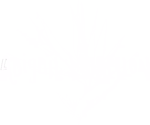 logo brand d'Abigail Morellon photographe à la Réunion en blanc