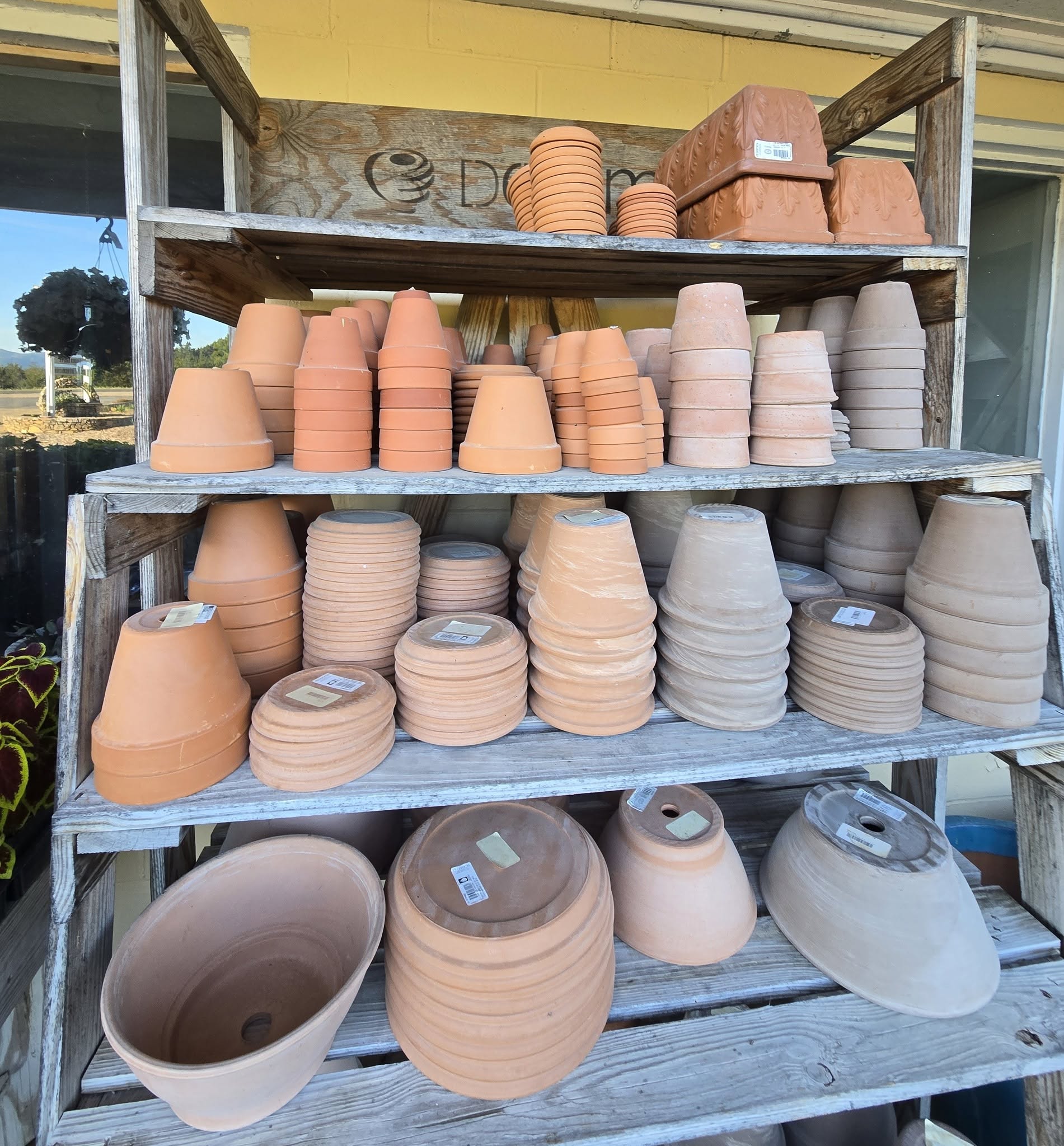 Wooden shelves stacked with various sizes and shapes of terracotta and clay flower pots.