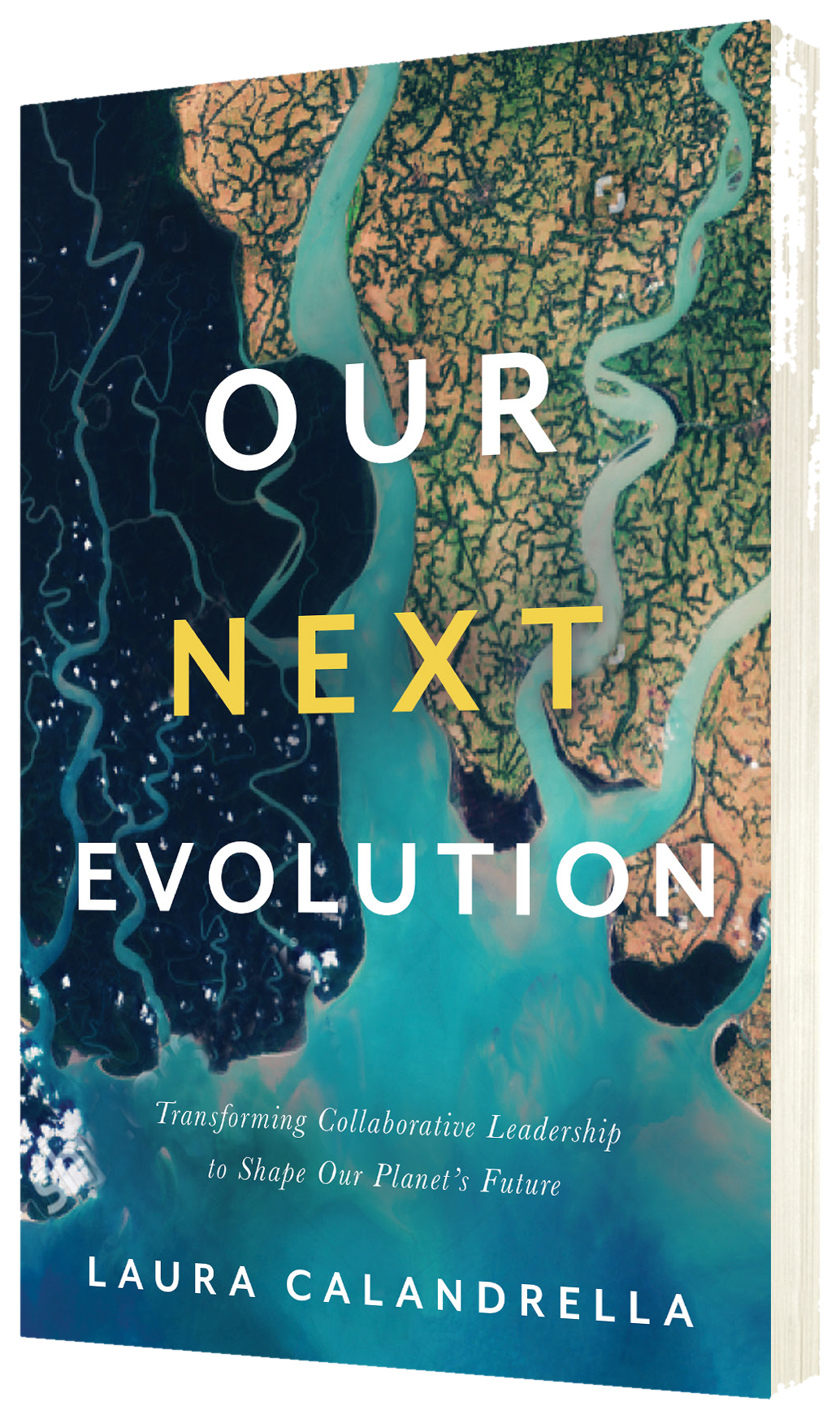 Our Next Evolution book cover