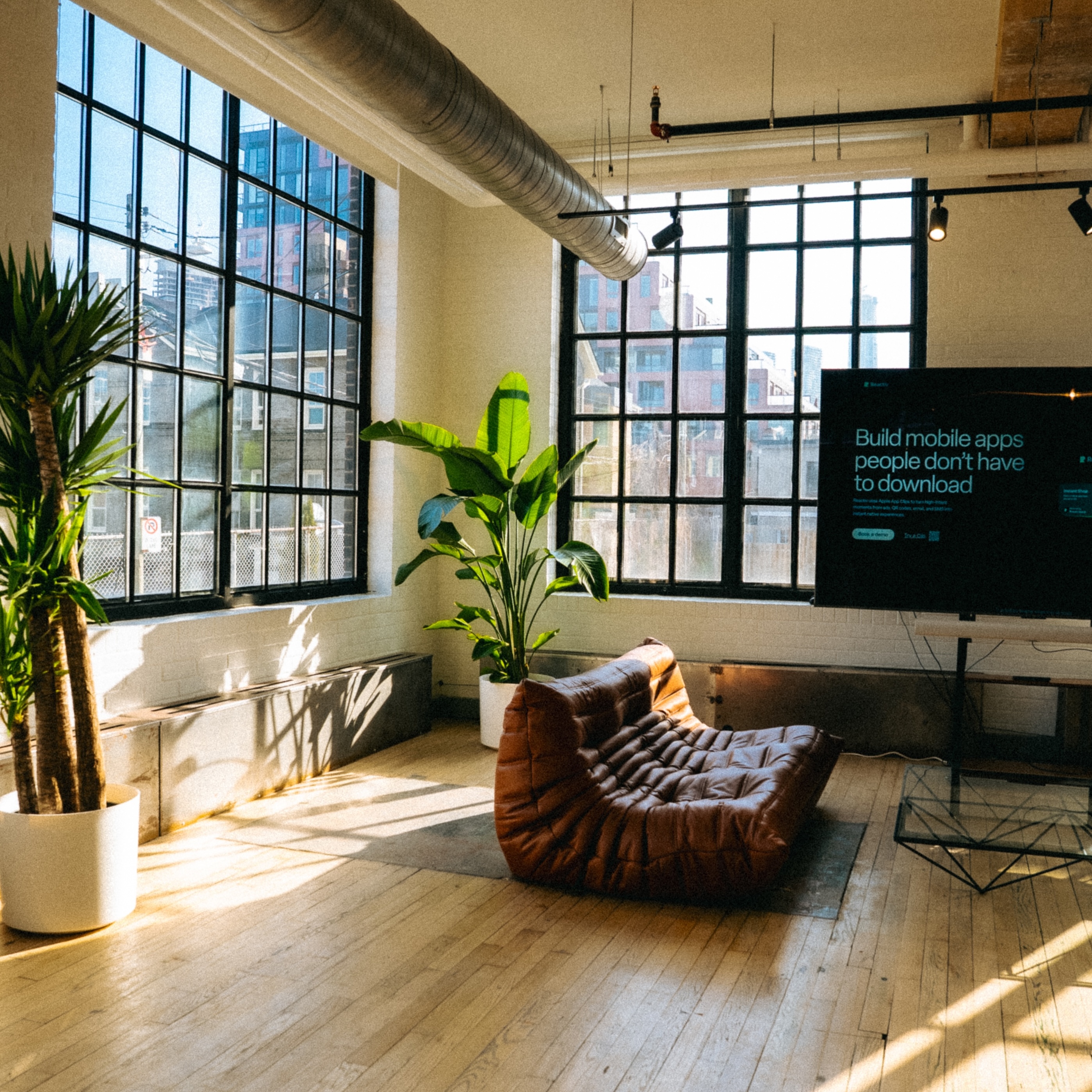 Sunlit office corner with a brown leather sofa, two large potted plants, and floor-to-ceiling windows.