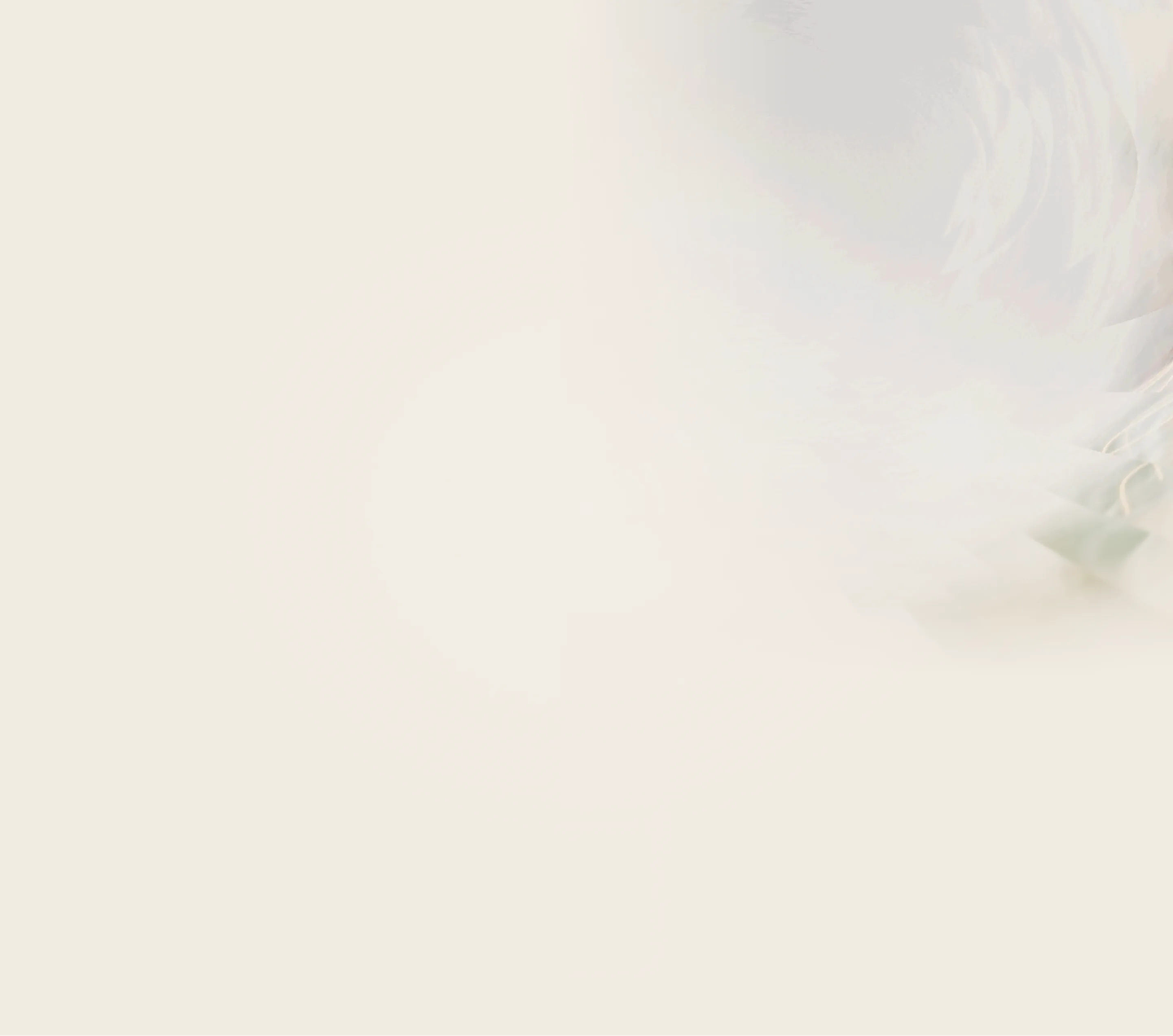 Abstract pale cream background with a soft feathered white and green accent.