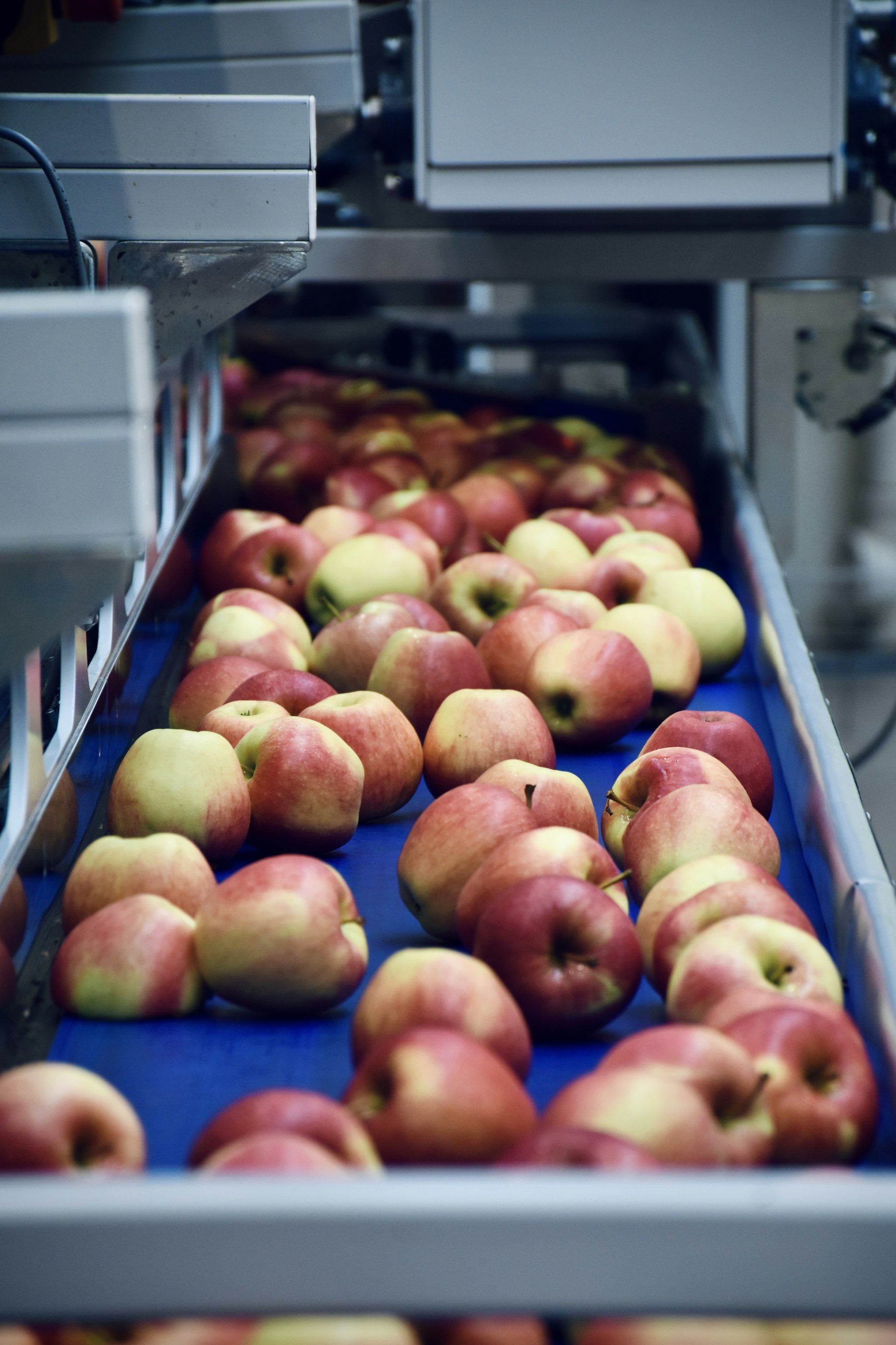 Food processing & cold chain