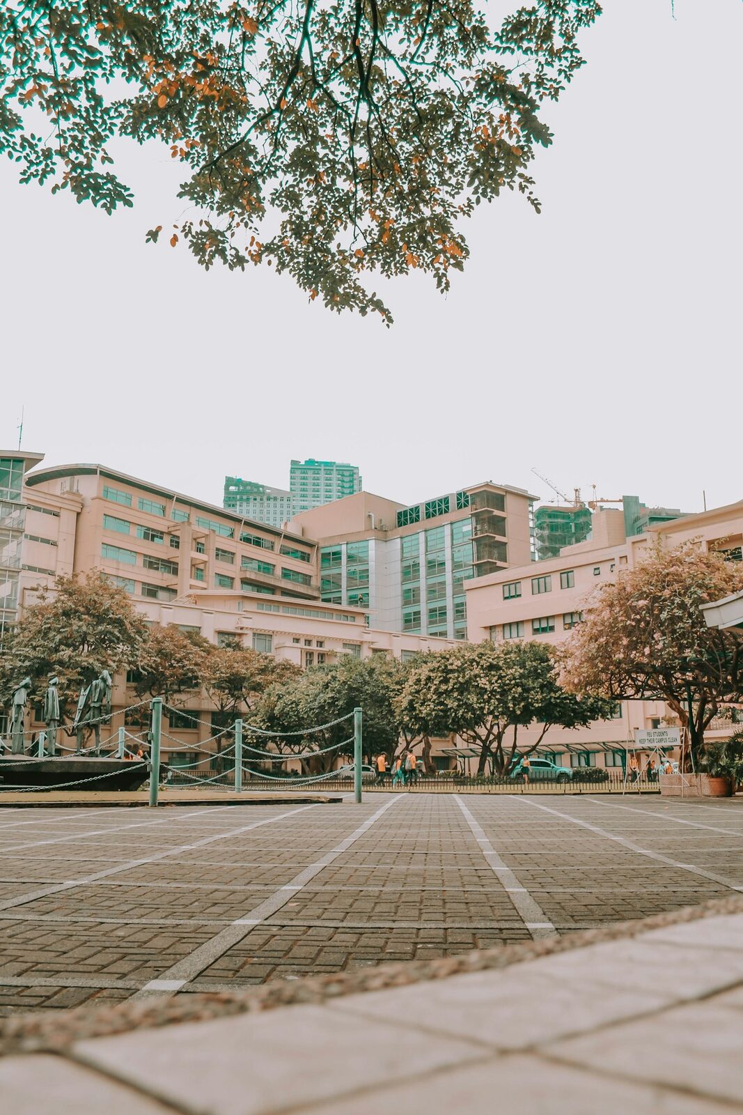 Public sector & education