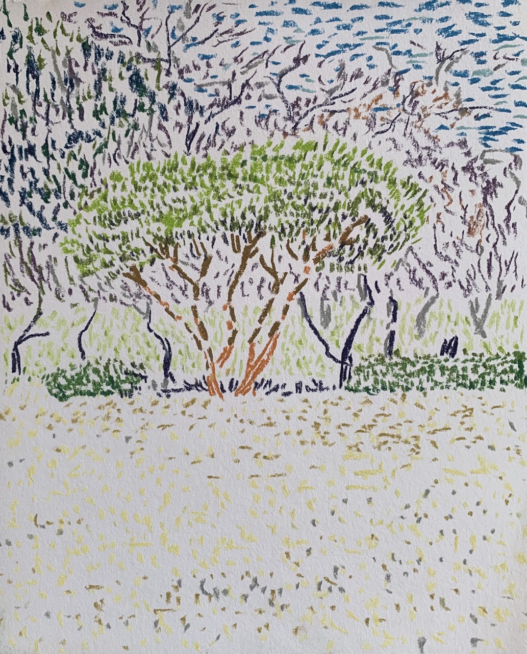 Parc Tokyo