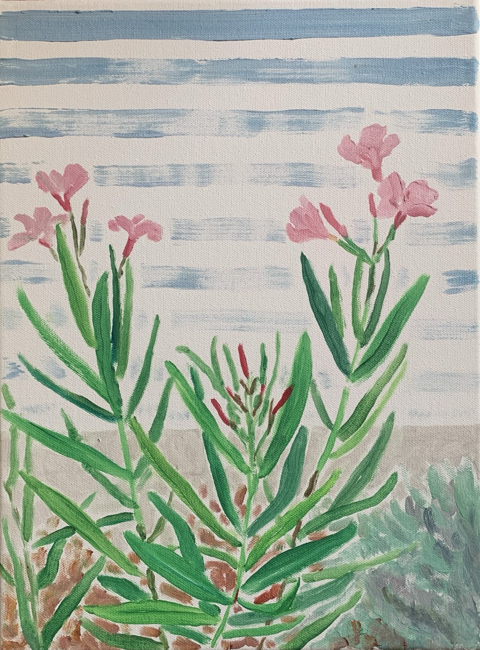 Lauriers roses