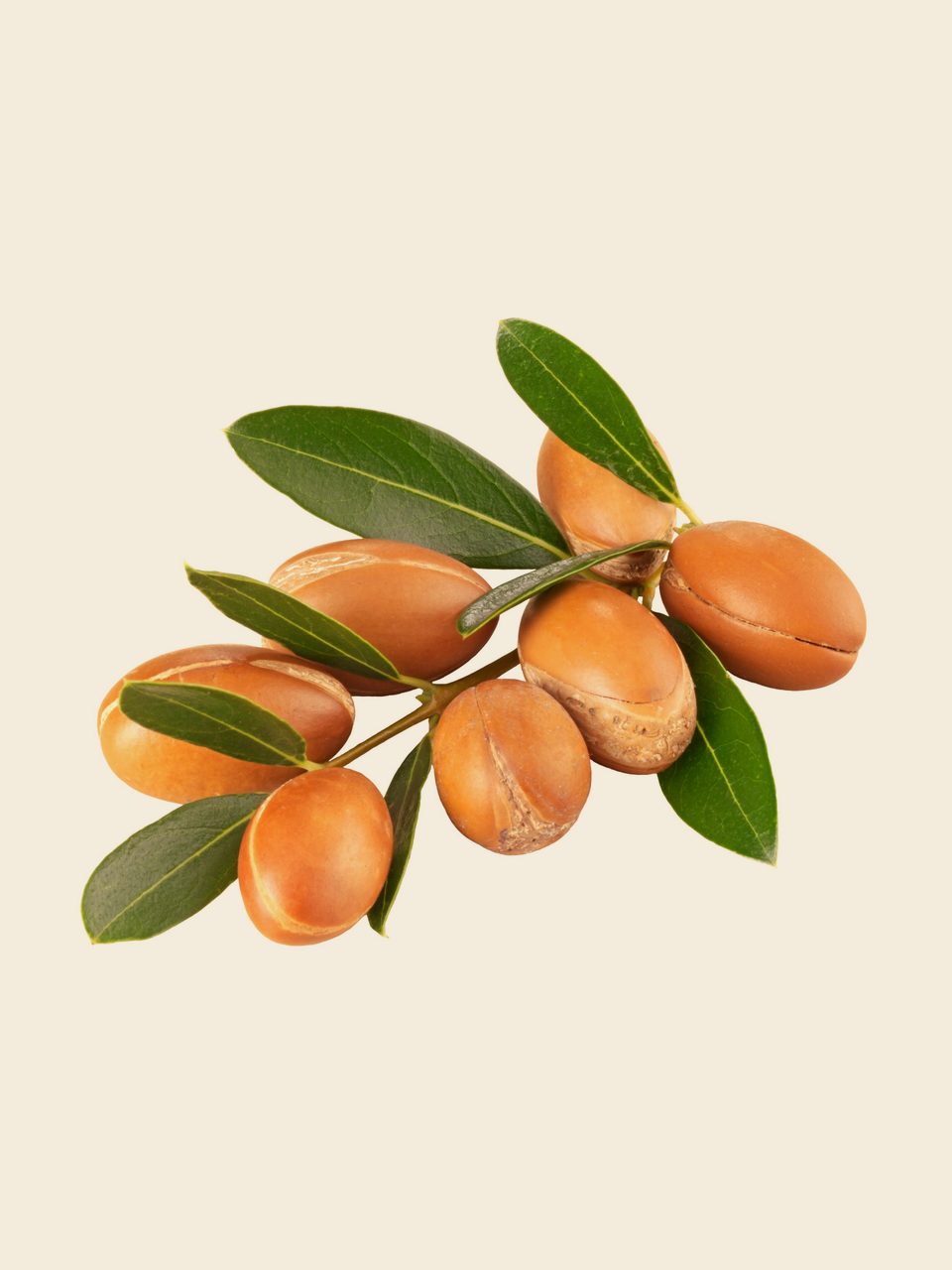 Argan Oil