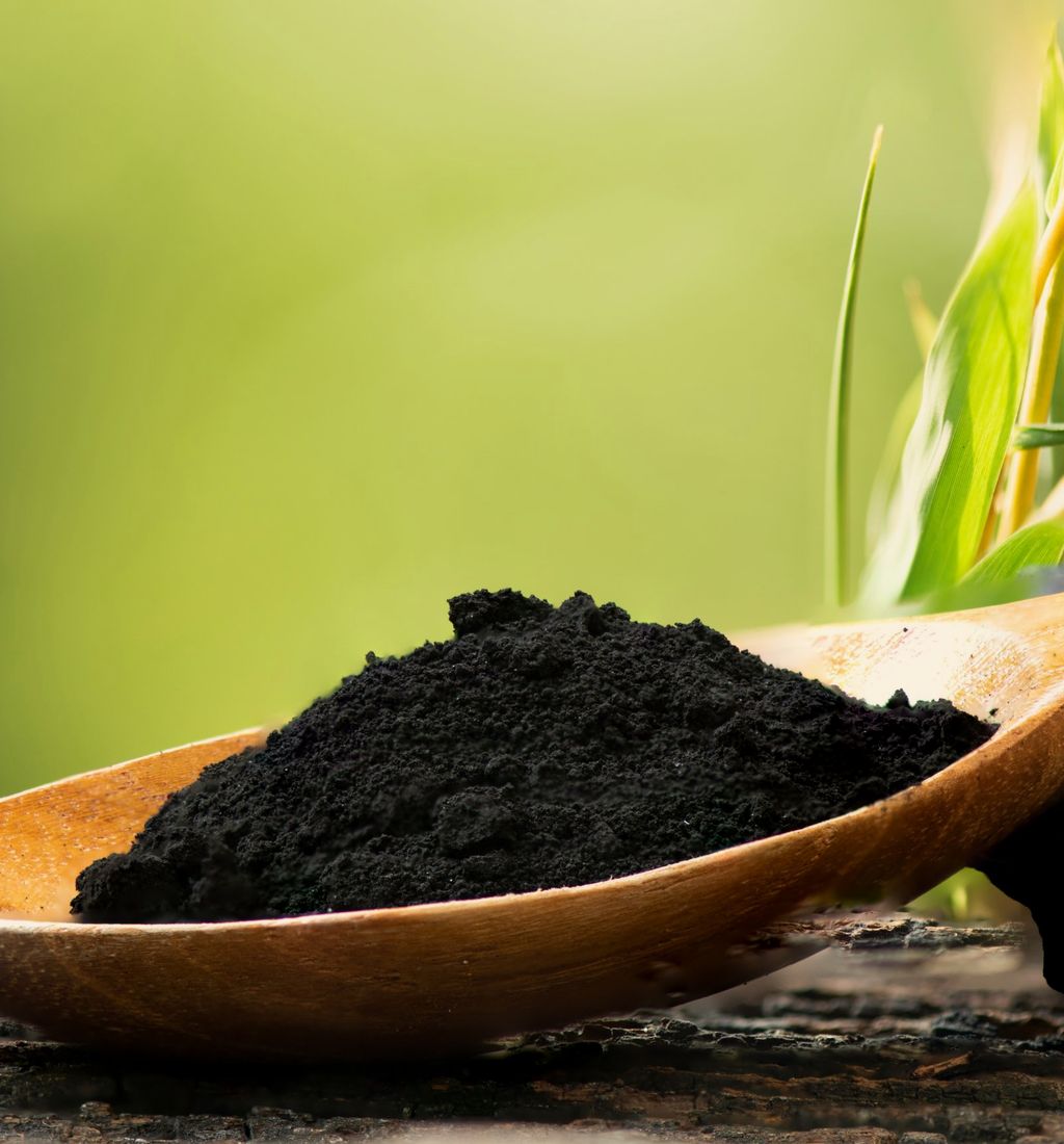 Activated Charcoal