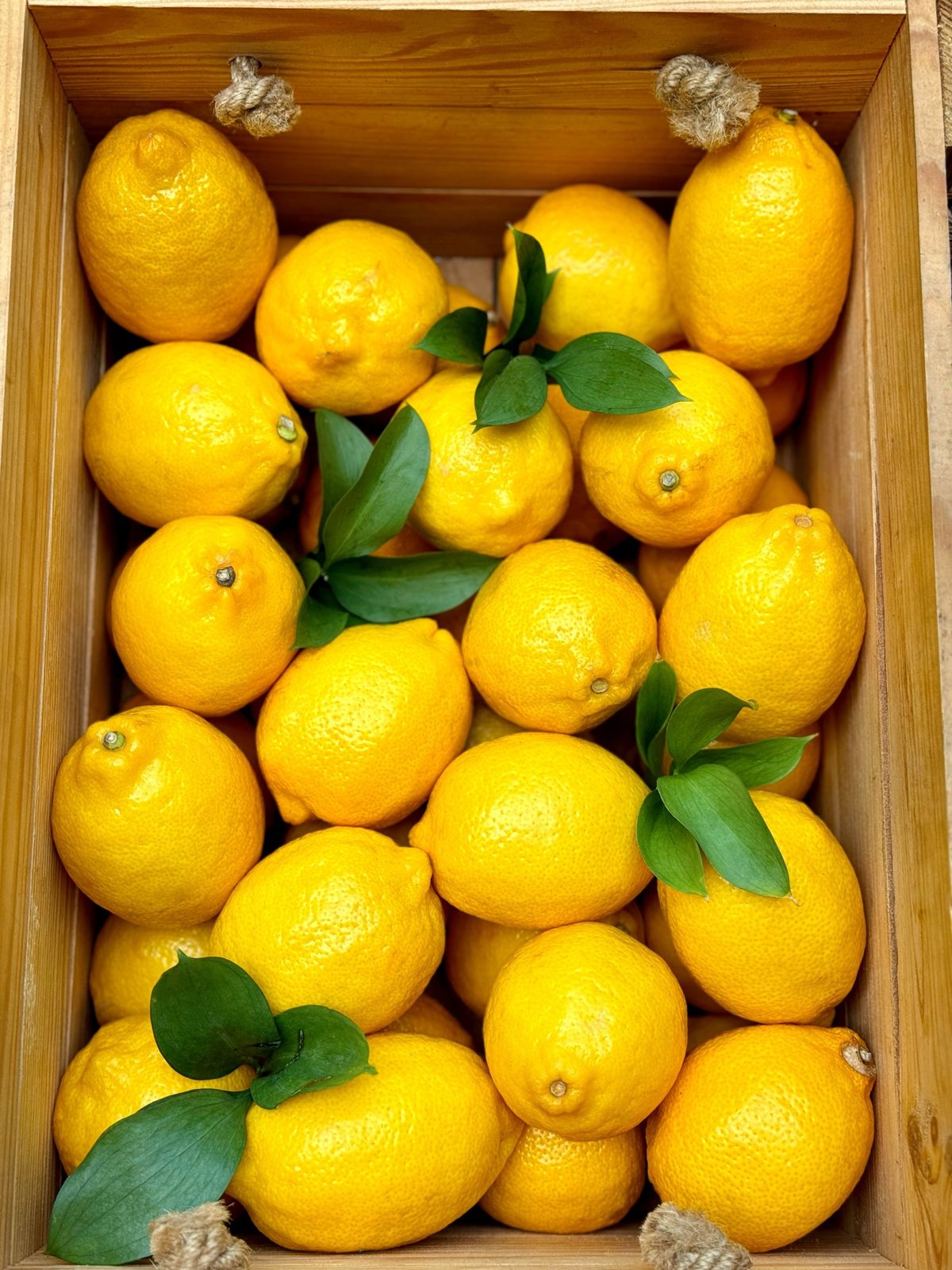 Lemon Zested Lemon | Magic Sources | Aether & Earth