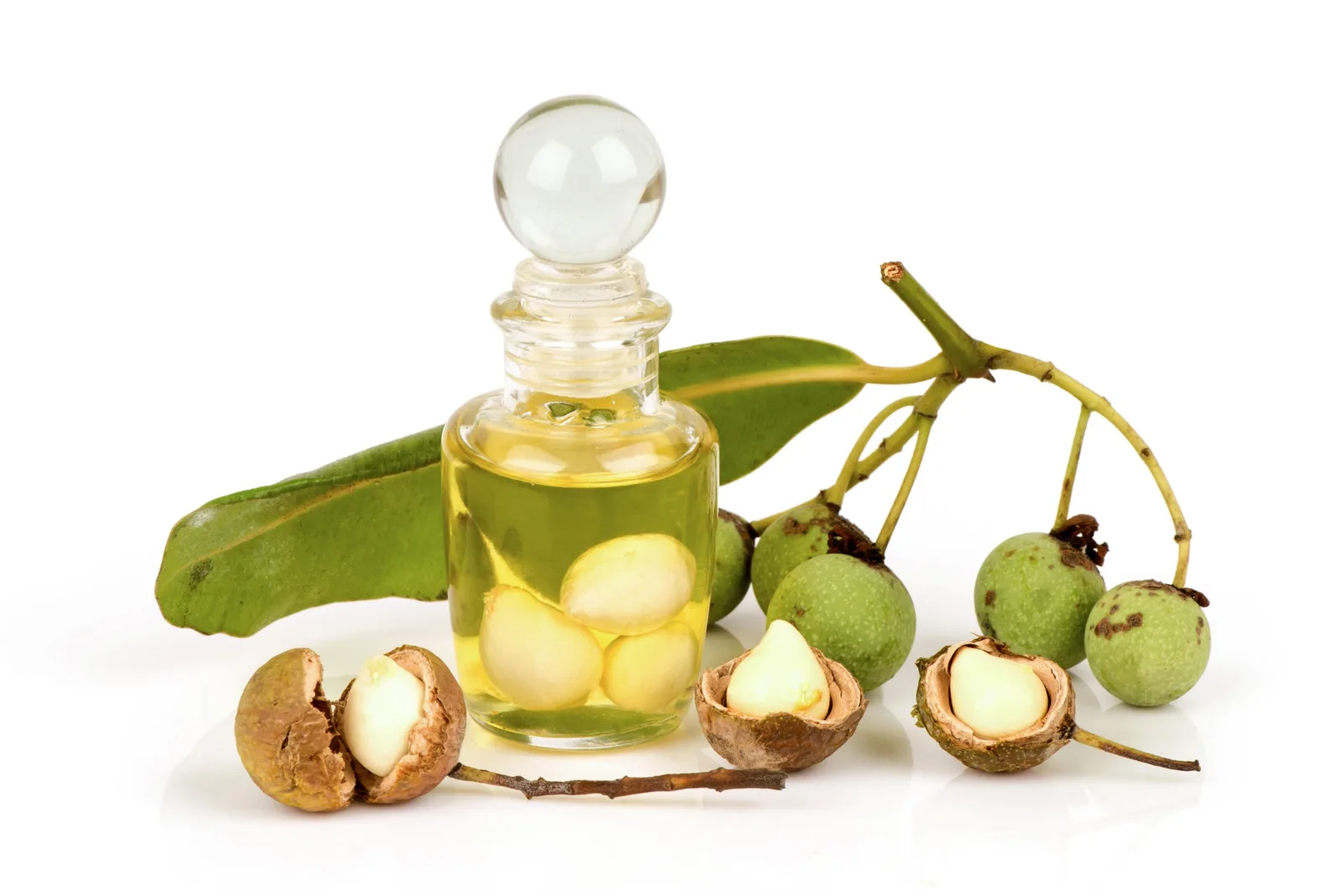 Tamanu Oil