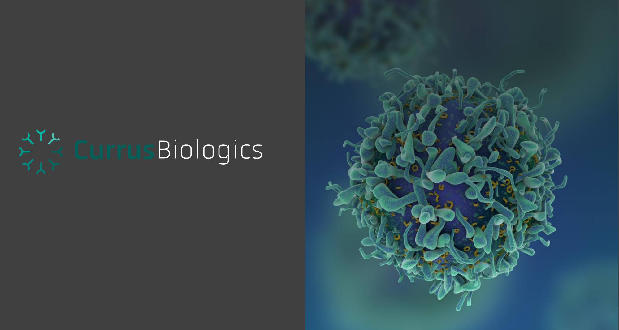 Currus Biologics announces FDA IND clearance for Phase 1 trial of CUR-001