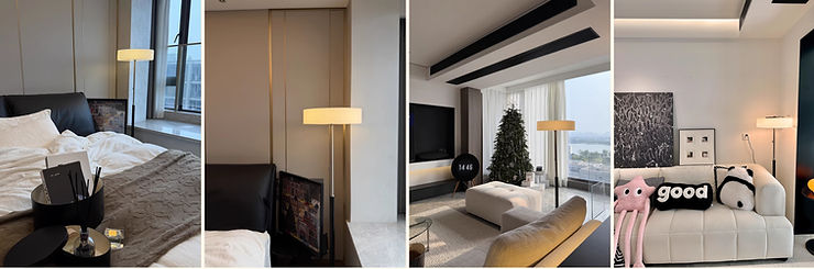 FFOrder x European Lighting Brand: From Vision to Reality