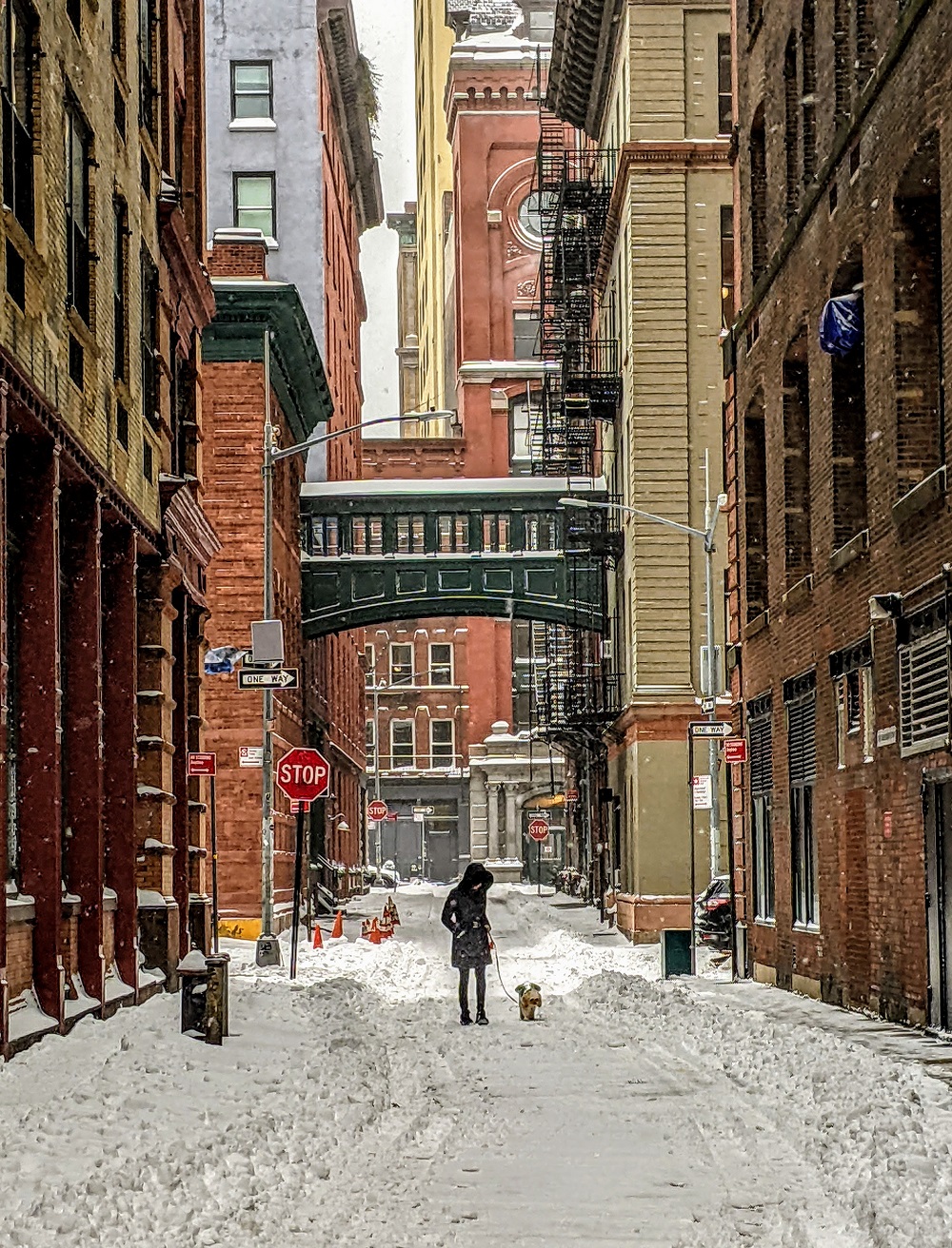A quiet cobblestone street in Tribeca