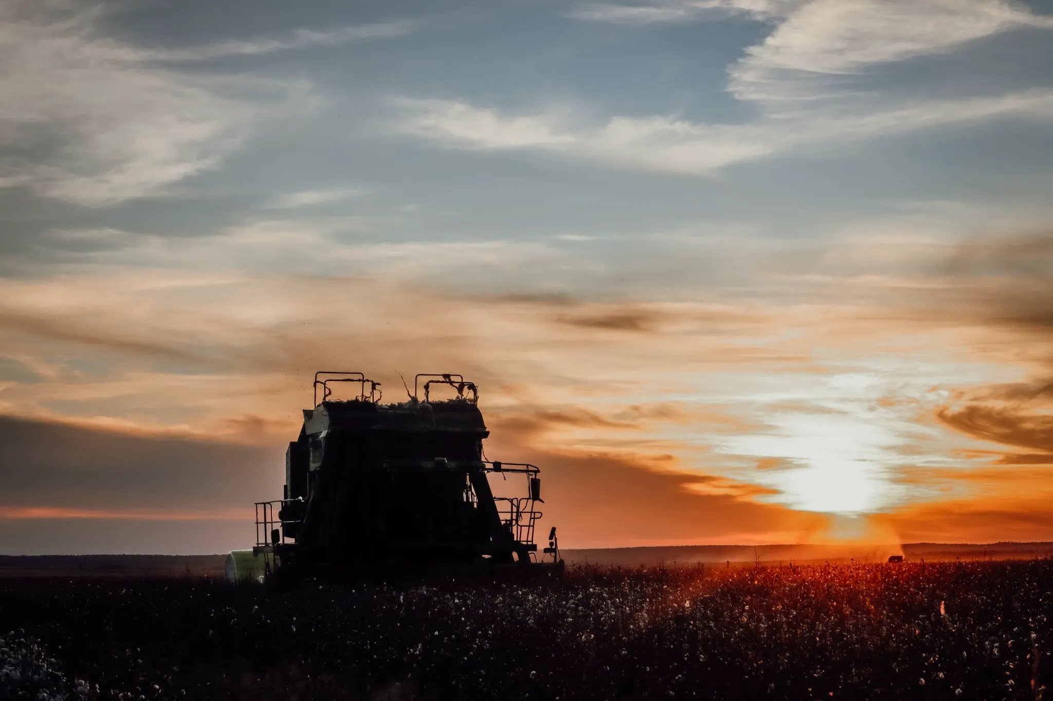 Cotton harvester working at sunset, enquire about agricultural contracting services in the NT