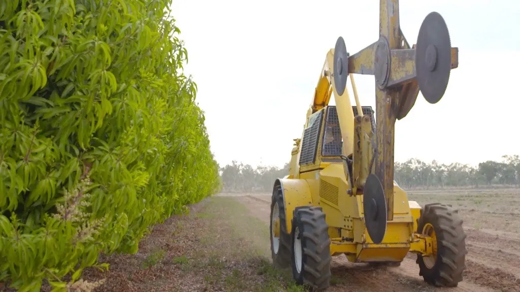 Hedge trimmer travelling a dirt road through plantation land, Northern Hedging and Contracting based in Katherine NT
