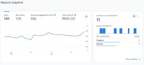 Screenshots of Google Analytic