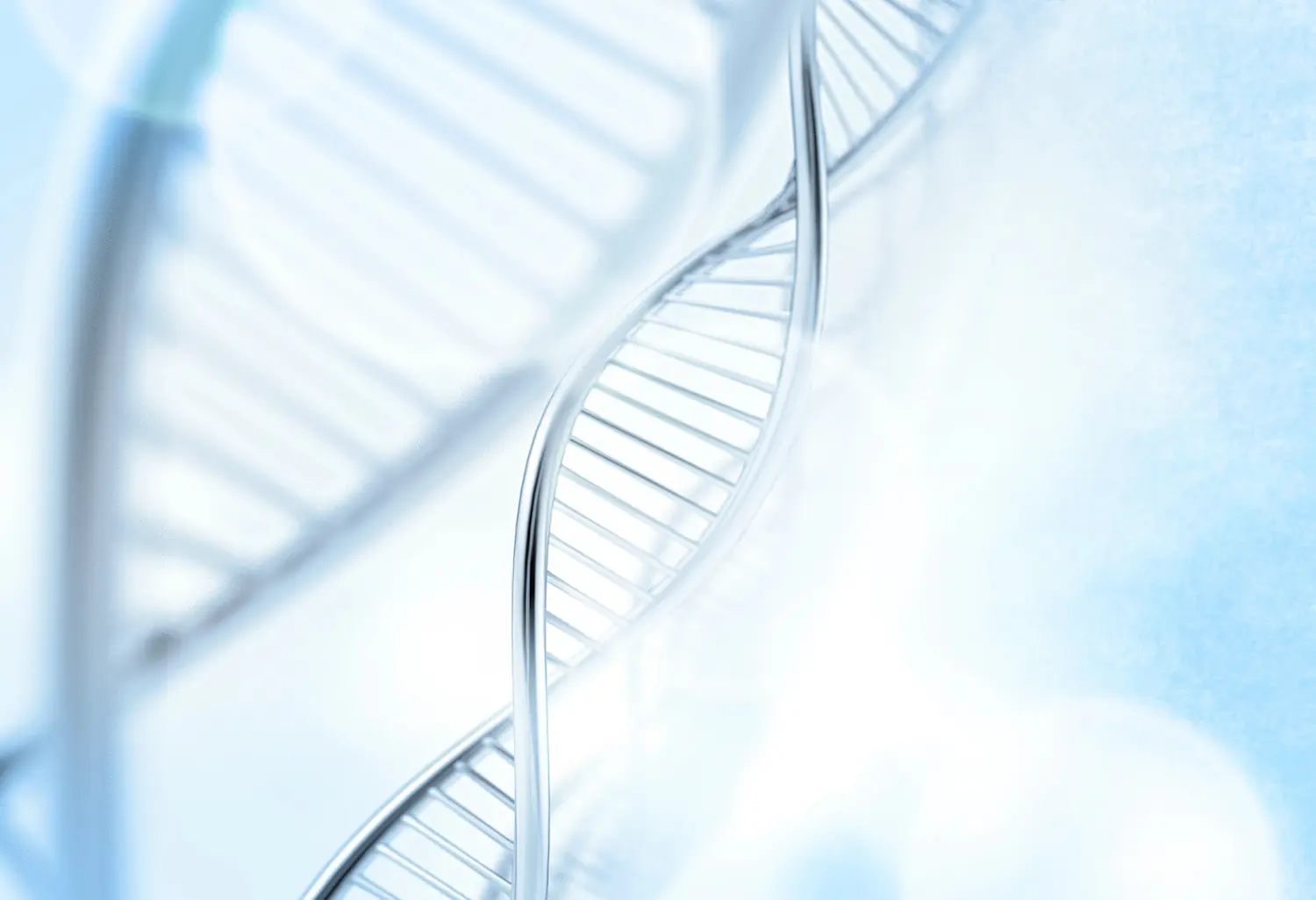 Genetische Faktoren sind einer der Ursachen für Aggression bei Menschen mit bipolaren Störungen