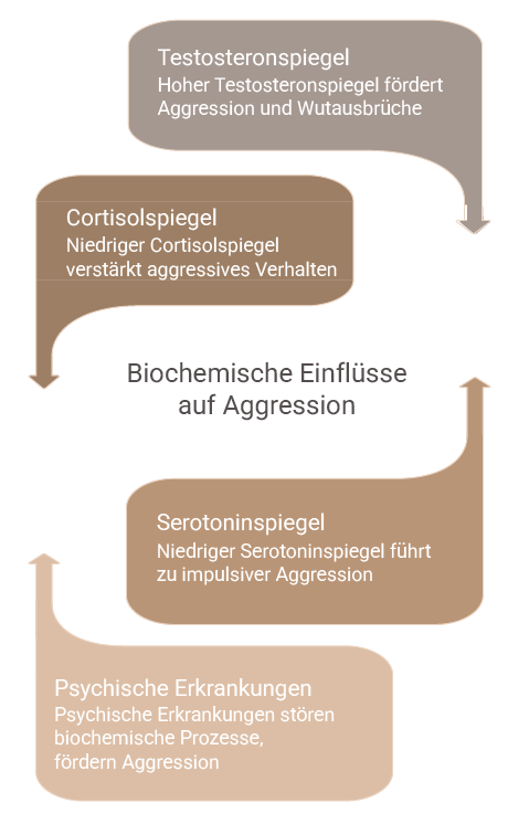 Beschreibung des mobilen Bildes