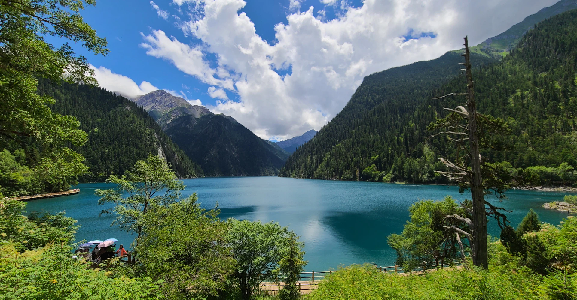 Turquoise lake surrounded by trees and mountains, Jiuzhaigou